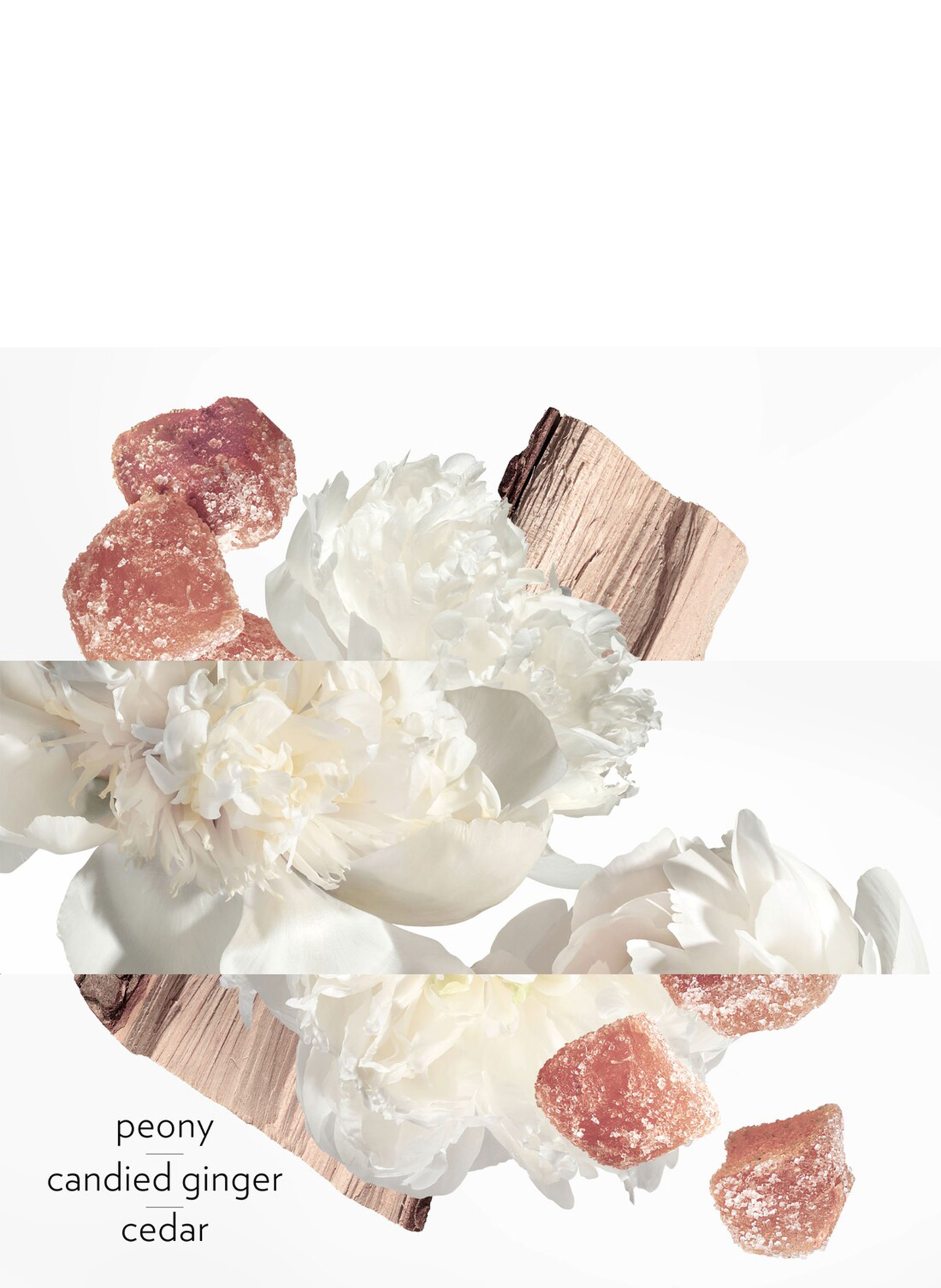 Twilly Eau Ginger eau de parfum HERMÈS No color