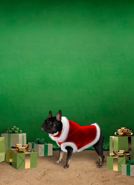 Digital Fashion, Noel, Printemps, Metaverse