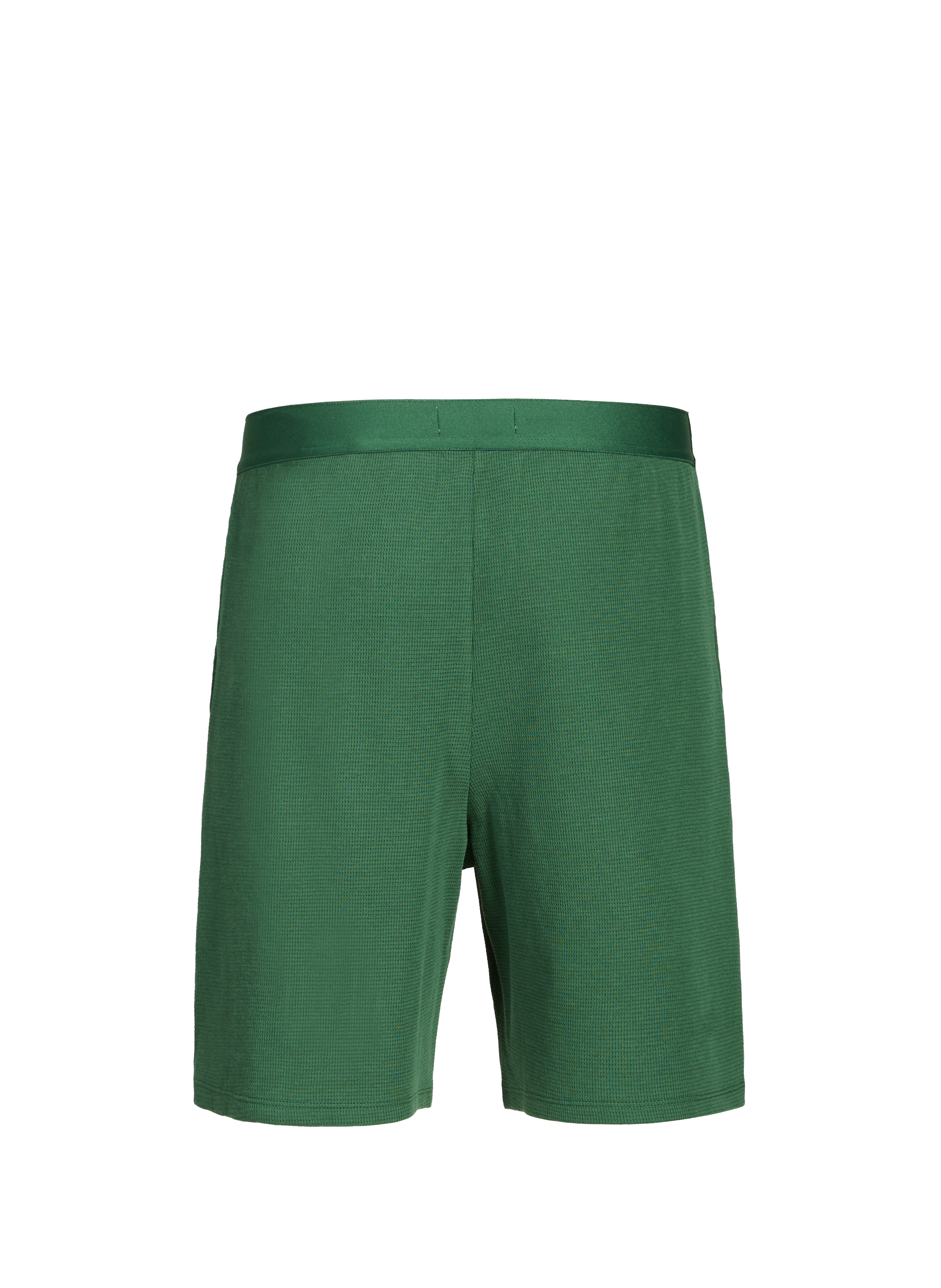 Bermuda Shorts LACOSTE Green