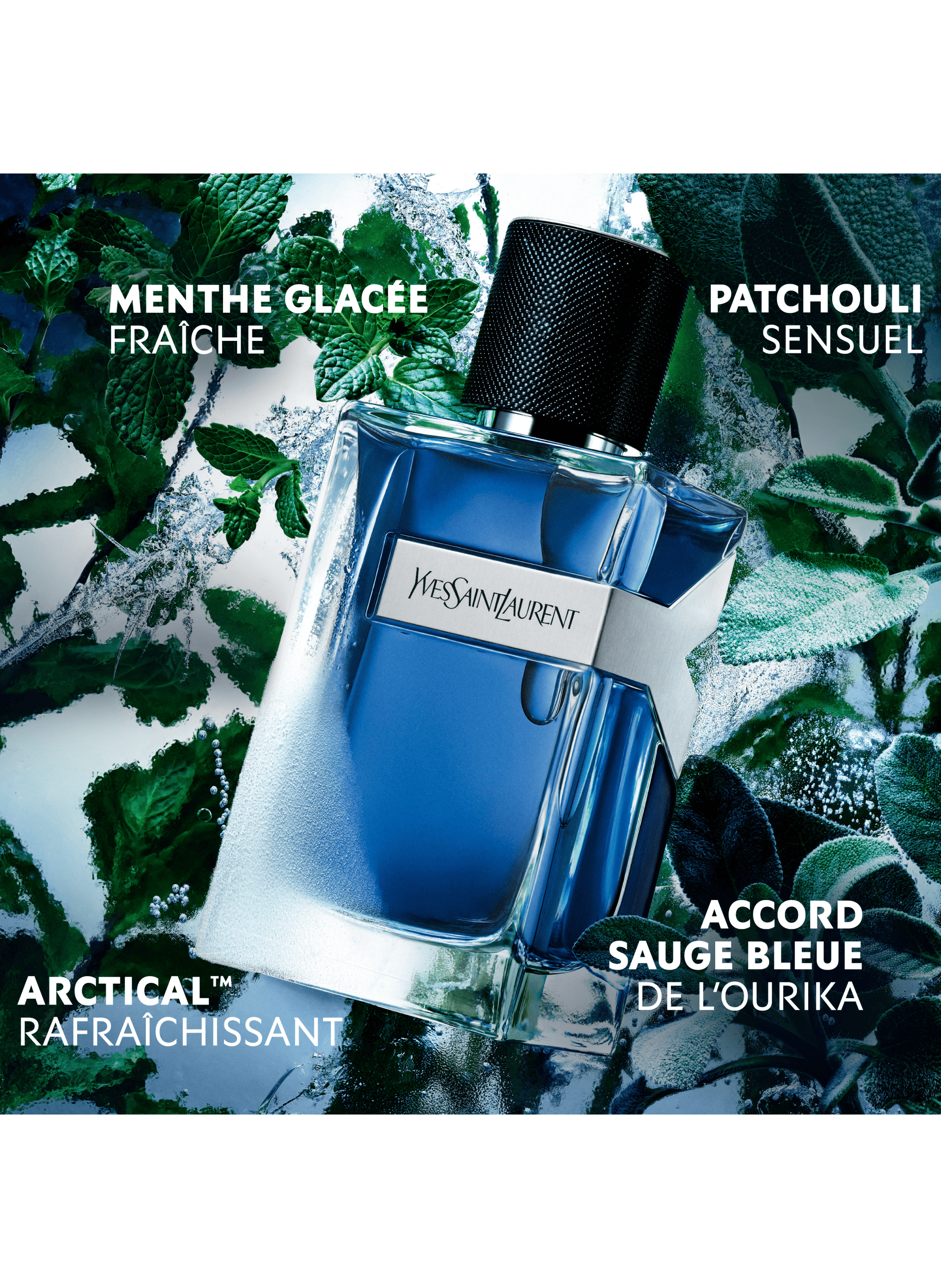 Y - Intense Aromatic Fougère Eau de Toilette for Men YVES SAINT LAURENT No color