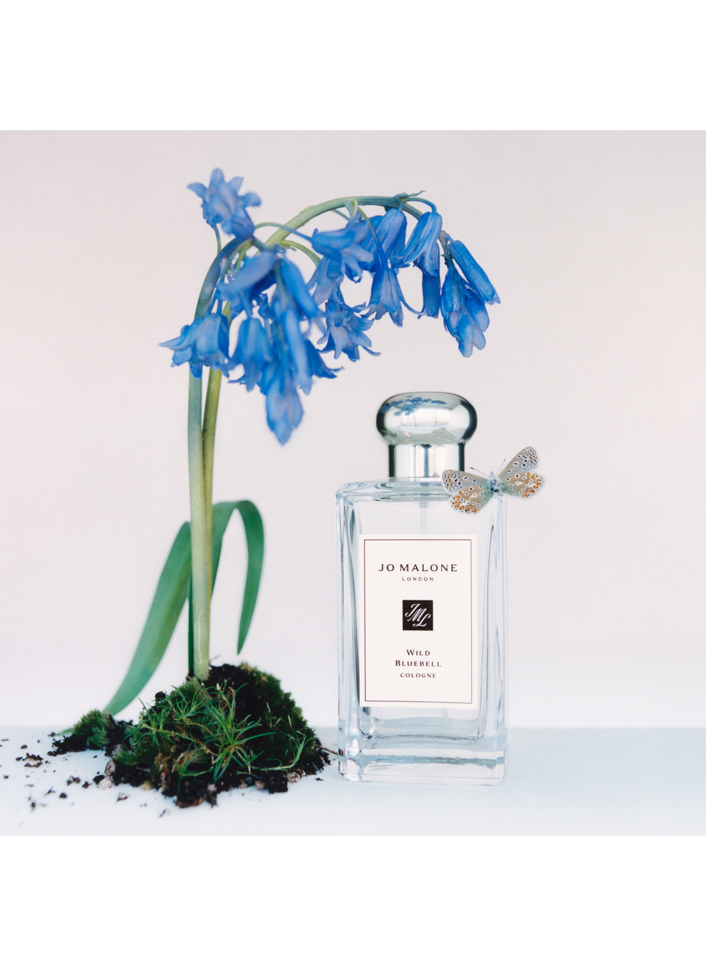 Wild Bluebell - Cologne JO MALONE LONDON No color