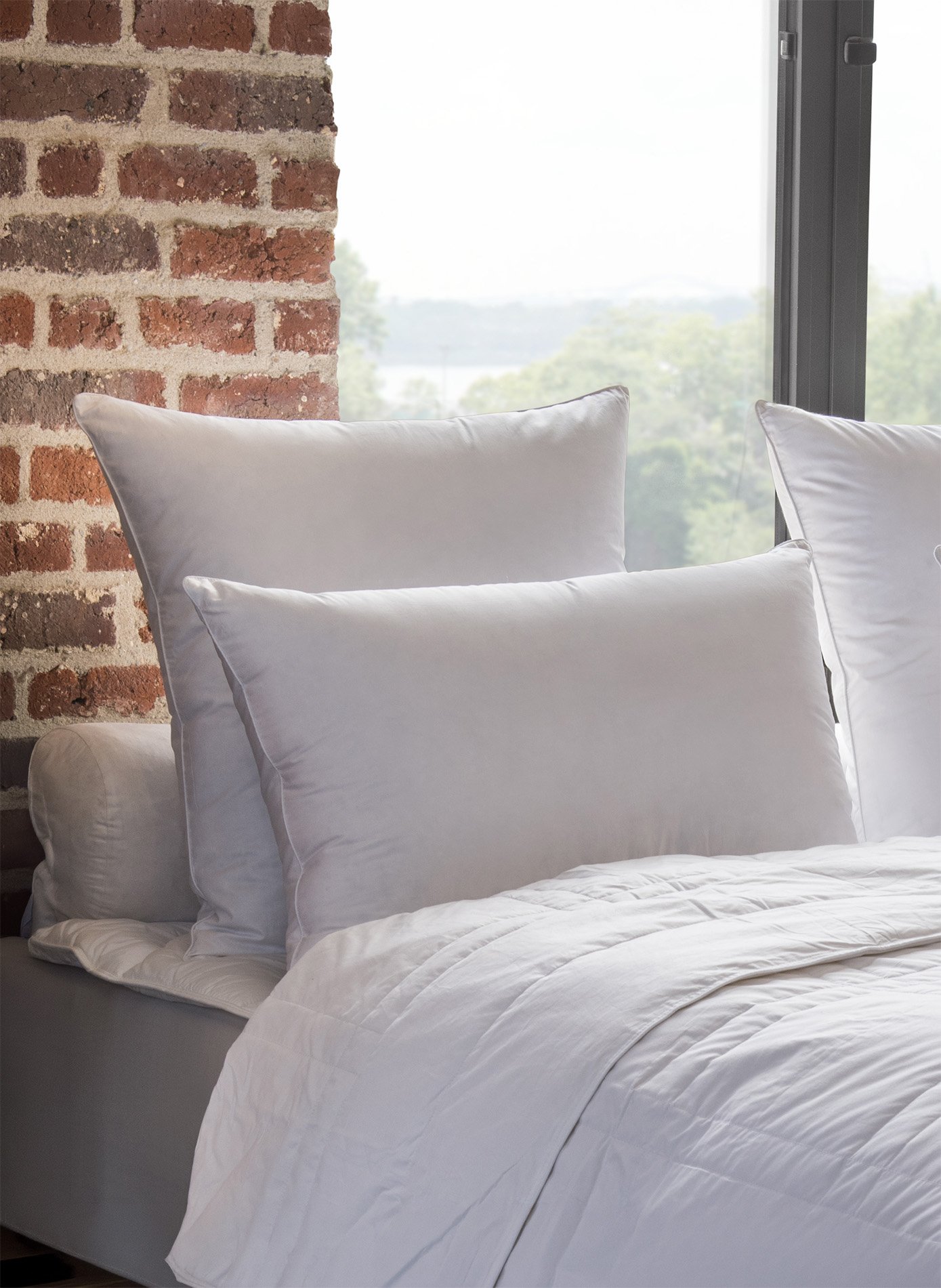 Oreiller planète  - 15% duvet oie - ferme DROUAULT Blanc