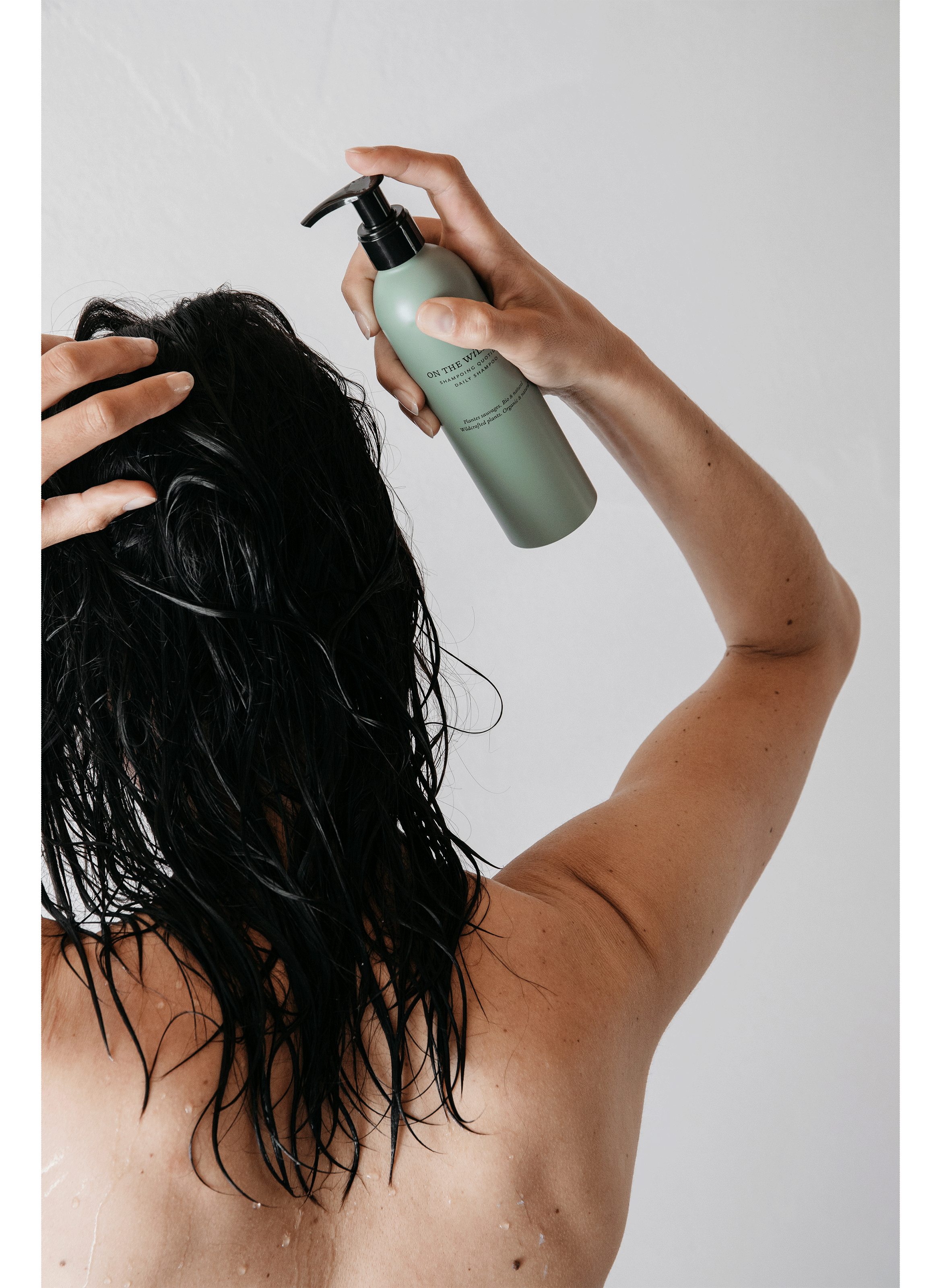 Daily Shampoo ON THE WILD SIDE No color