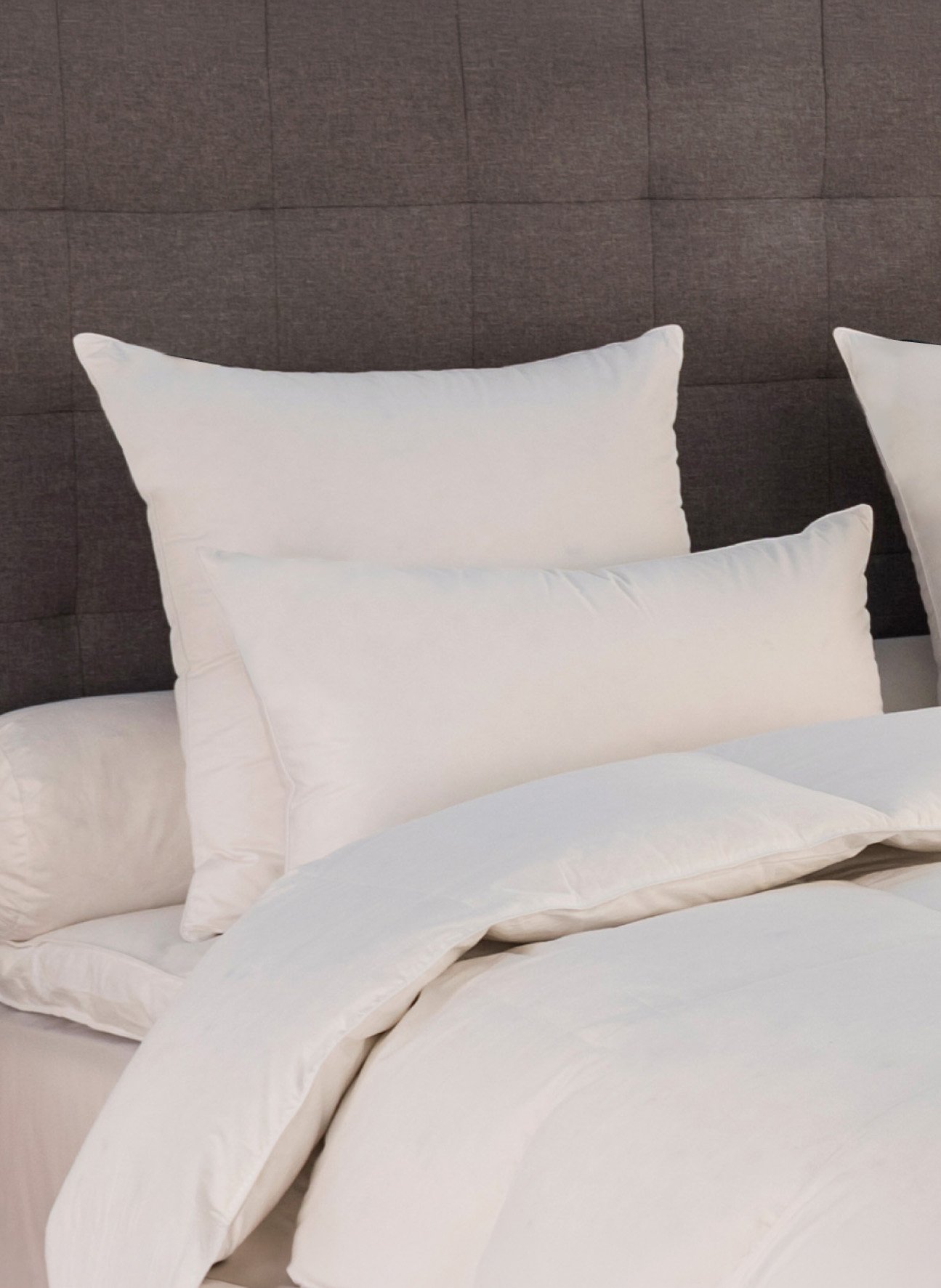 Oreiller népal  - 70% duvet canard - moelleux DROUAULT Blanc