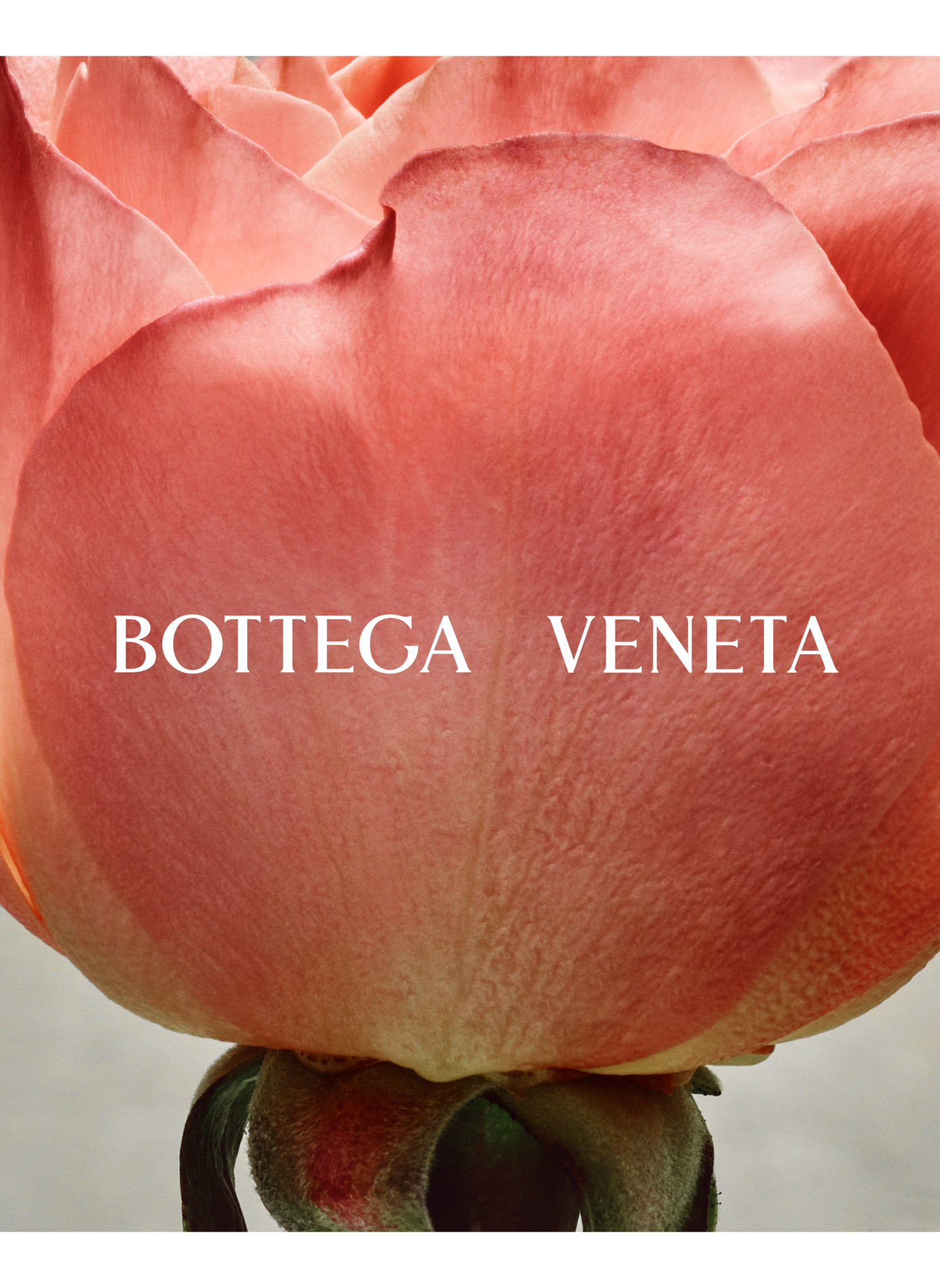 Slow Rise - Eau de Parfum BOTTEGA VENETA No color
