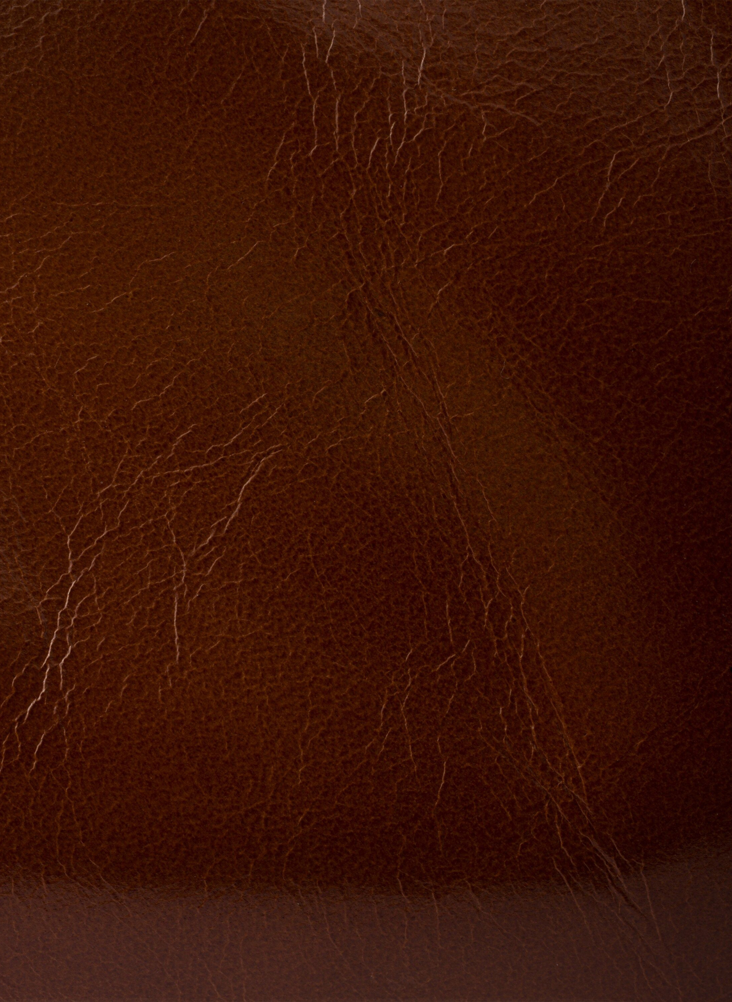 Sac à main prada bonnie en cuir PRADA Marron