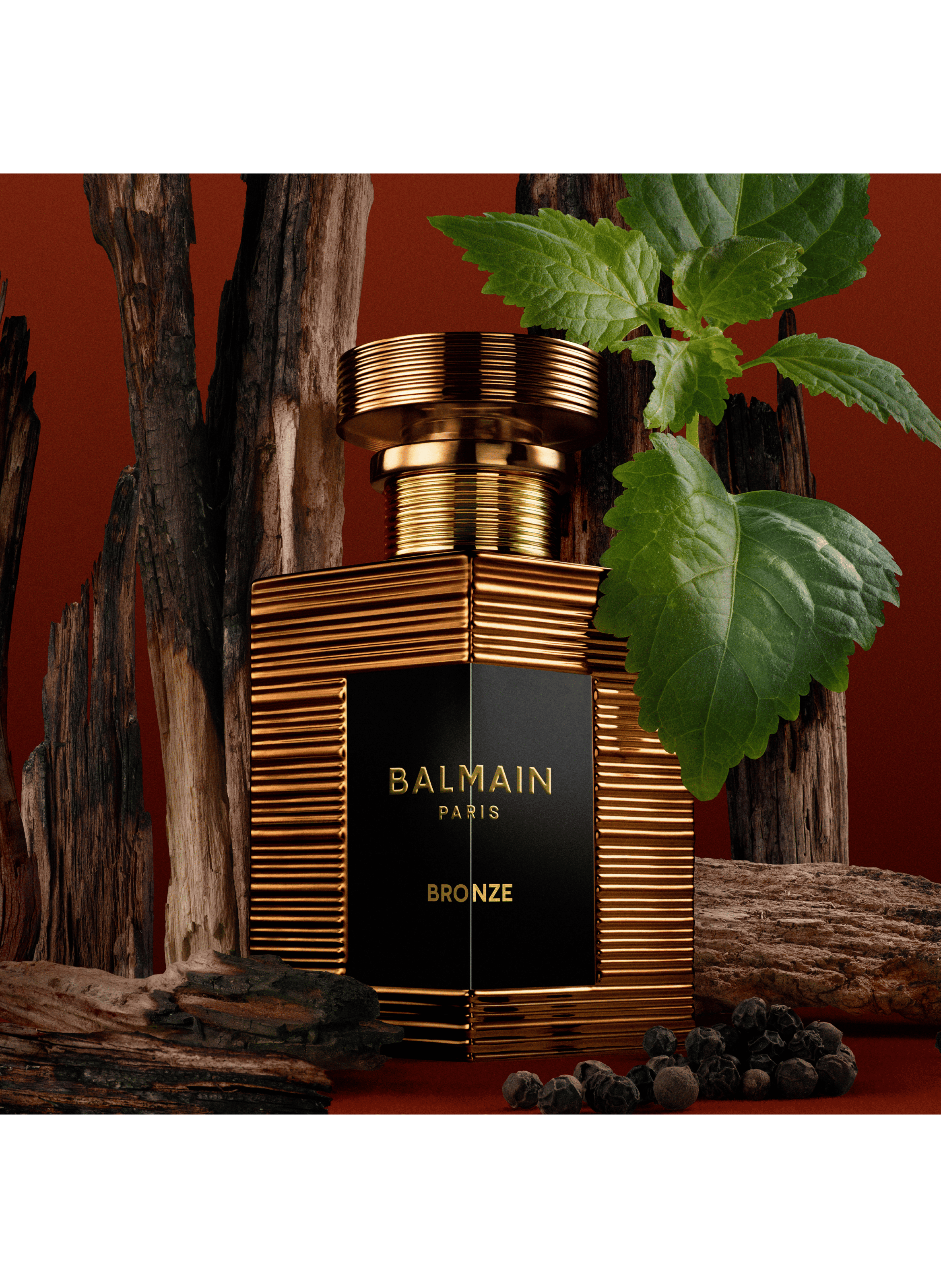 Bronze - Eau de Parfum BALMAIN No color