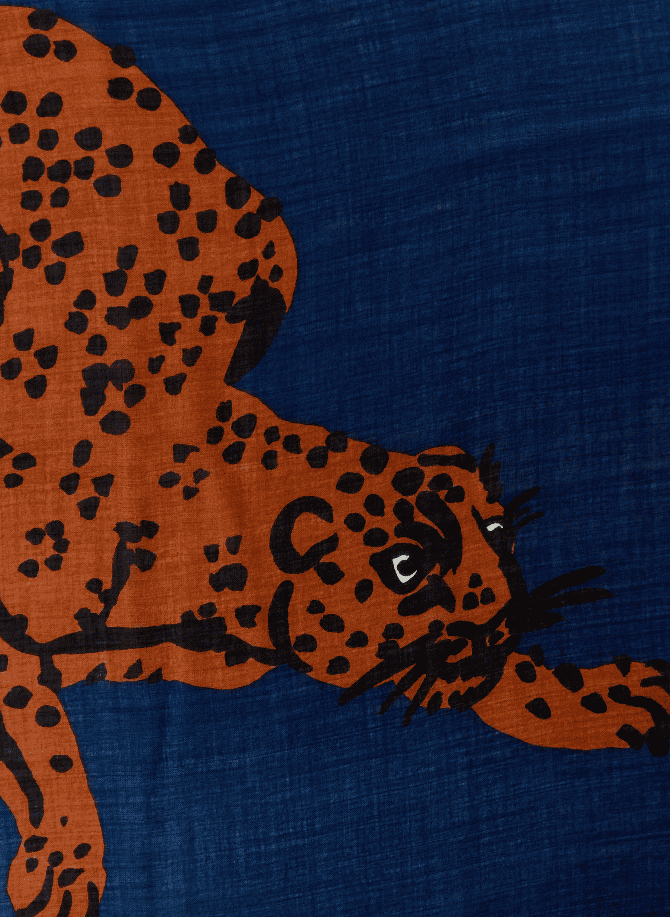 Foulard imprimé en laine INOUITOOSH Multicolore