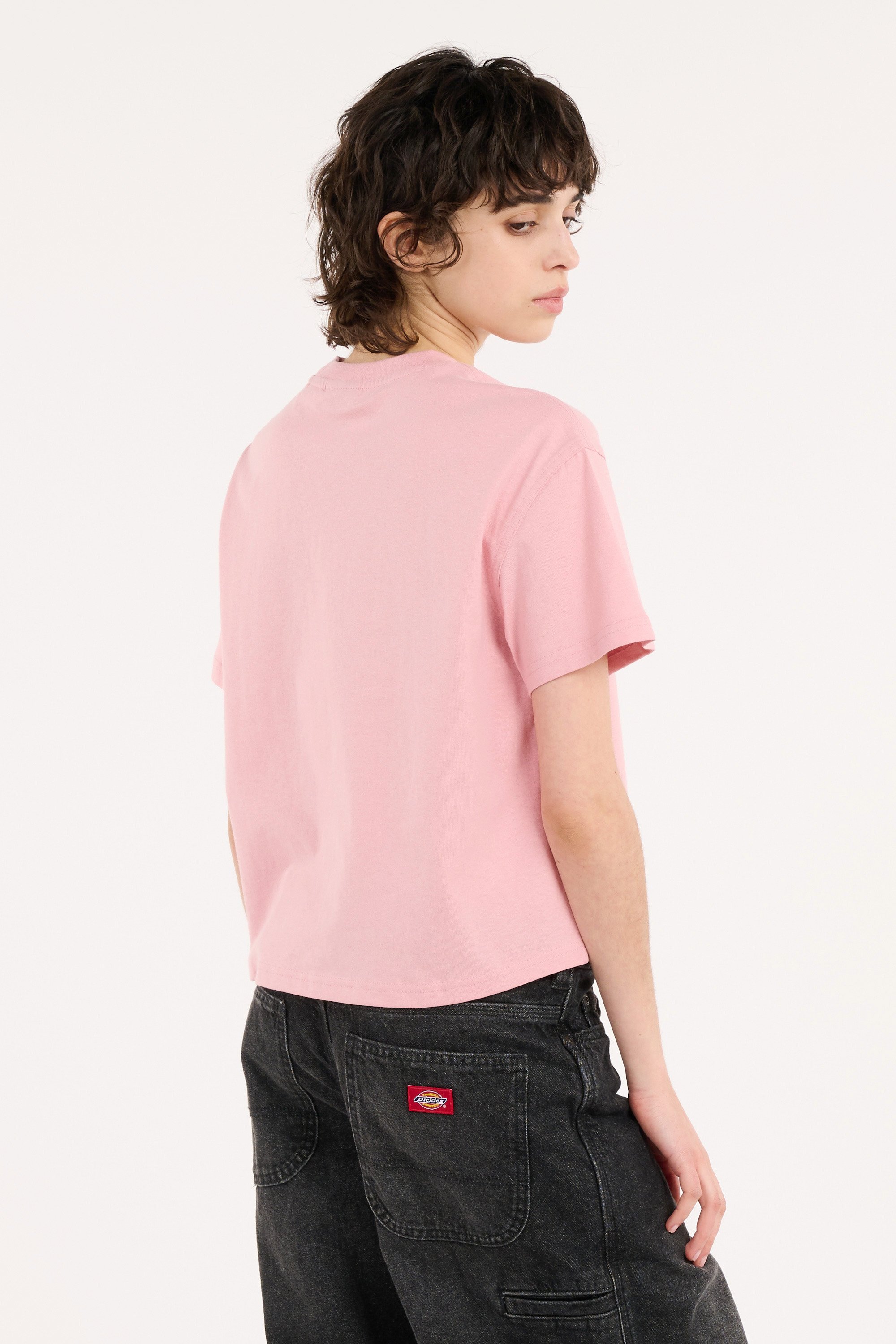T-shirt oakport boxy DICKIES Rose