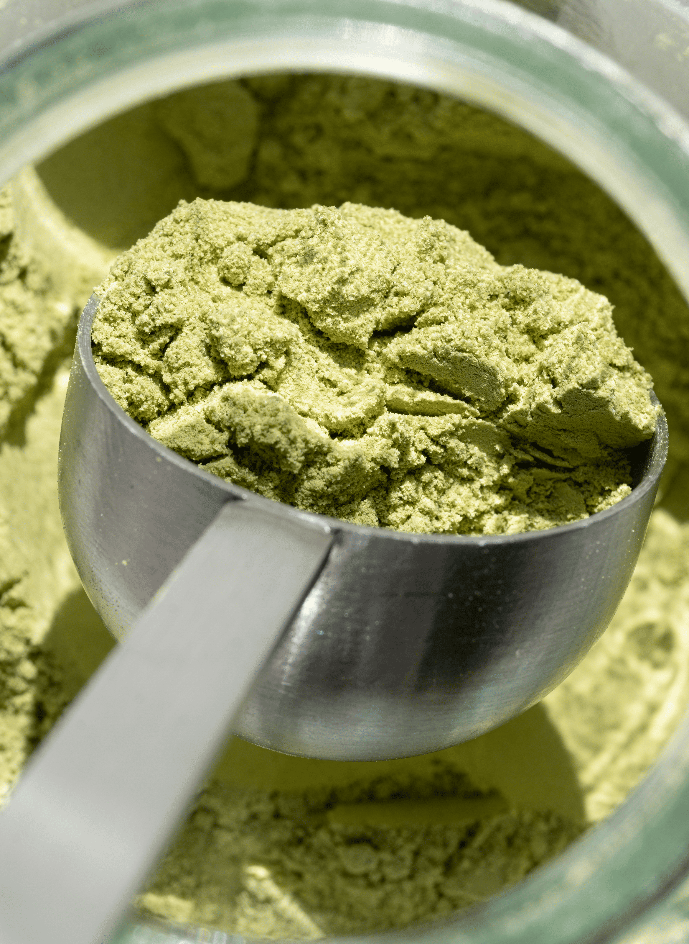 Pro Collagen - Matcha bottle D-LAB NUTRICOSMETICS No color