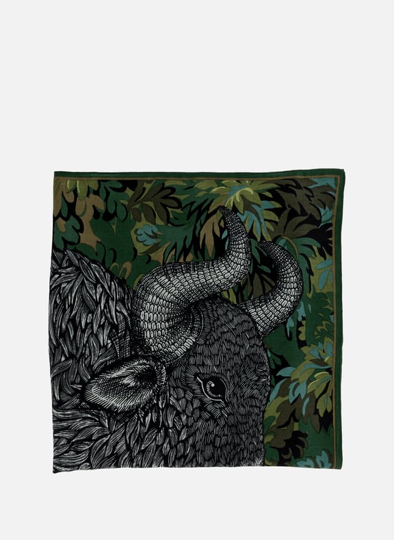 Foulard imprimé en laine Vert by INOUI EDITIONS INOUI EDITIONS Foulard imprimé en laine Vert