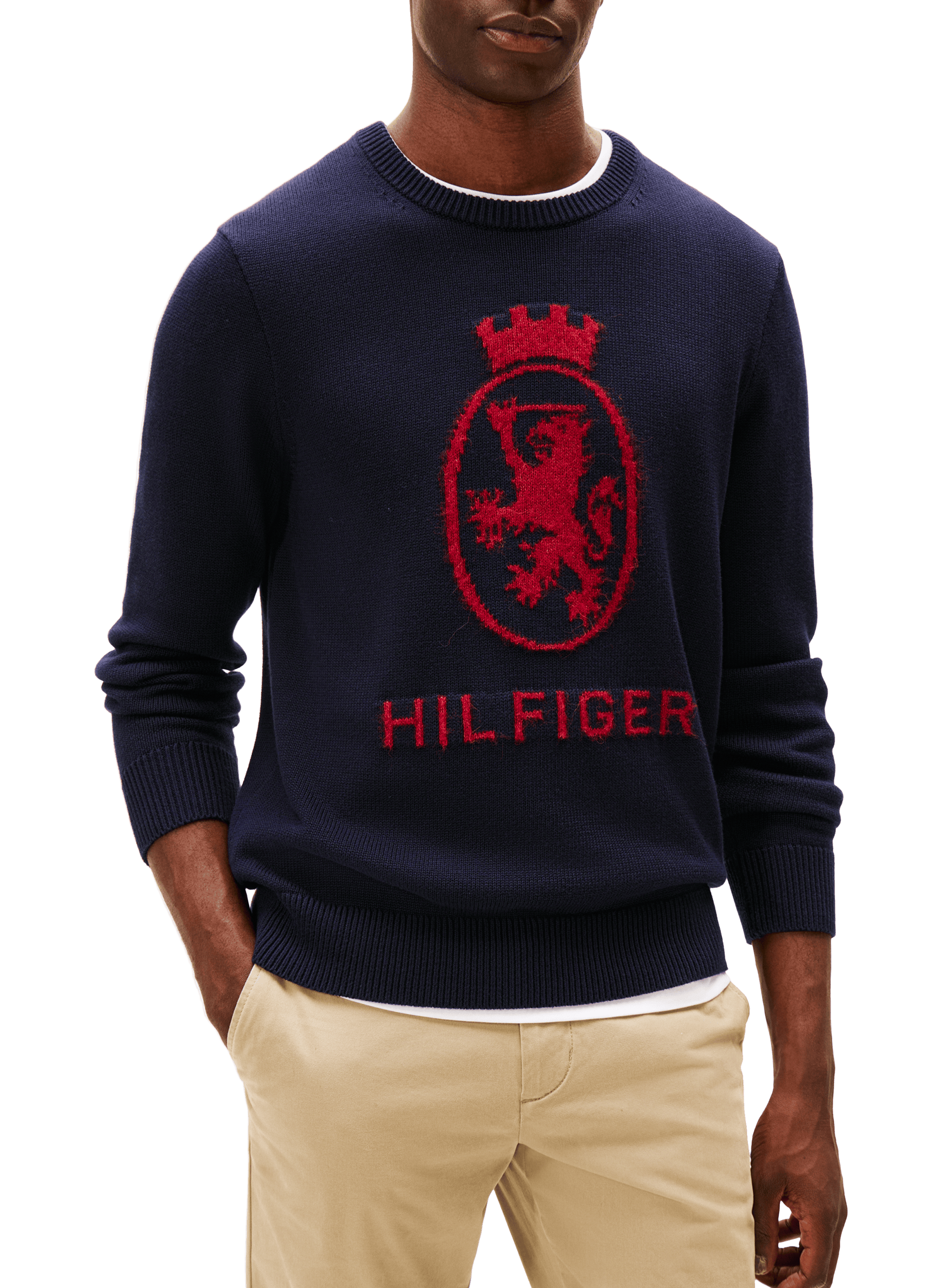 TOMMY HILFIGER Pull col rond en coton Multicolore