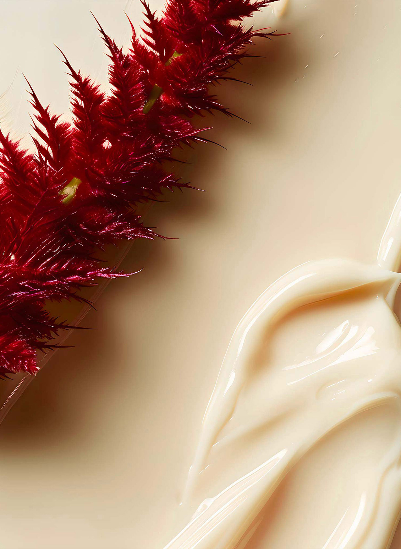 Crème de soin à l?Amarante LEONOR GREYL No color