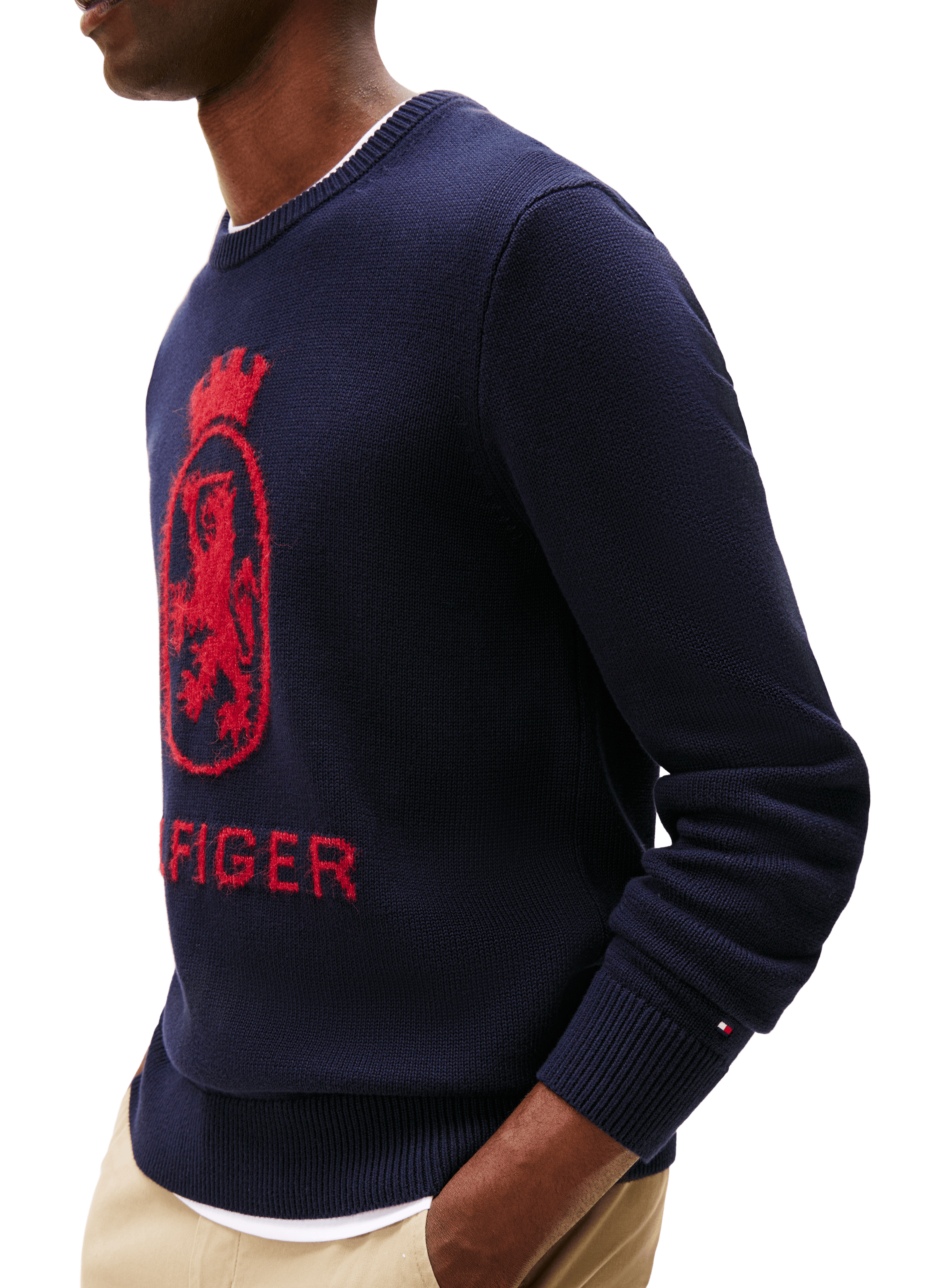 Cotton round neck Sweatshirt TOMMY HILFIGER Multicolour