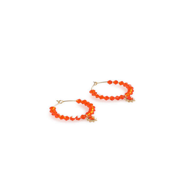 Anni Lu Tangerine Dream Hoop Earrings