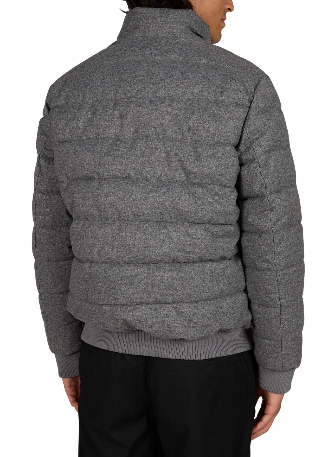 Padded puffer jacket with high collar SAVE THE DUCK Grey