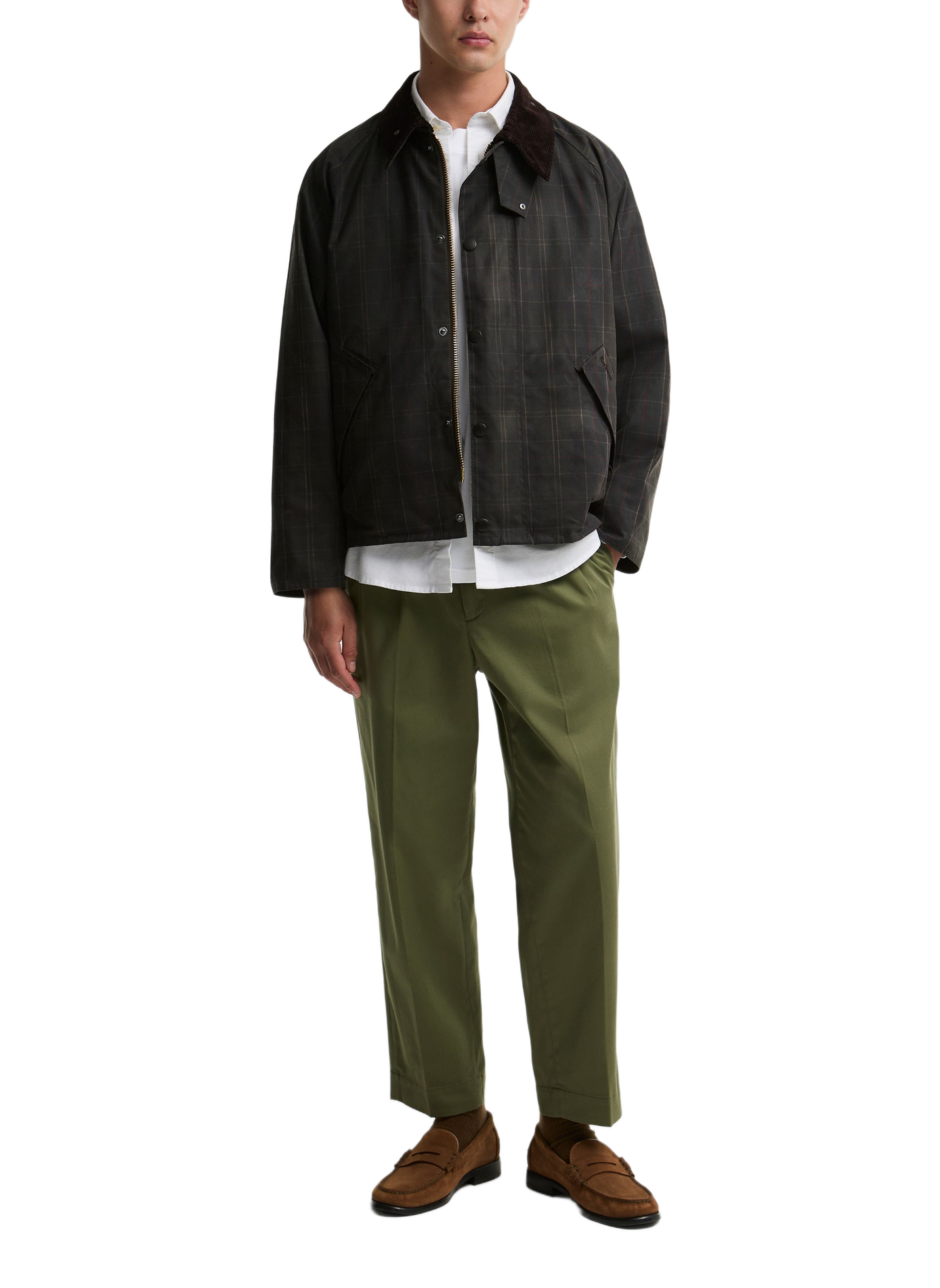 Straight jacket with contrasting collar in cotton BARBOUR Green