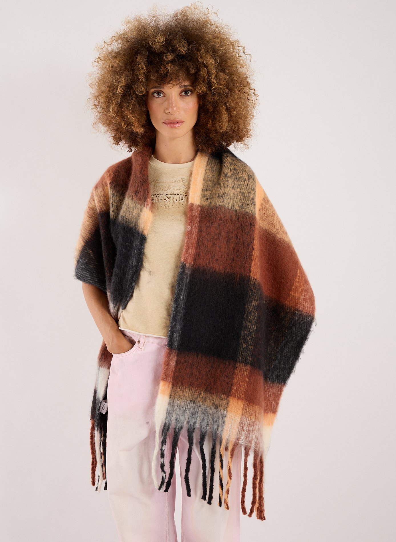 Check Scarf AU PRINTEMPS PARIS Brown