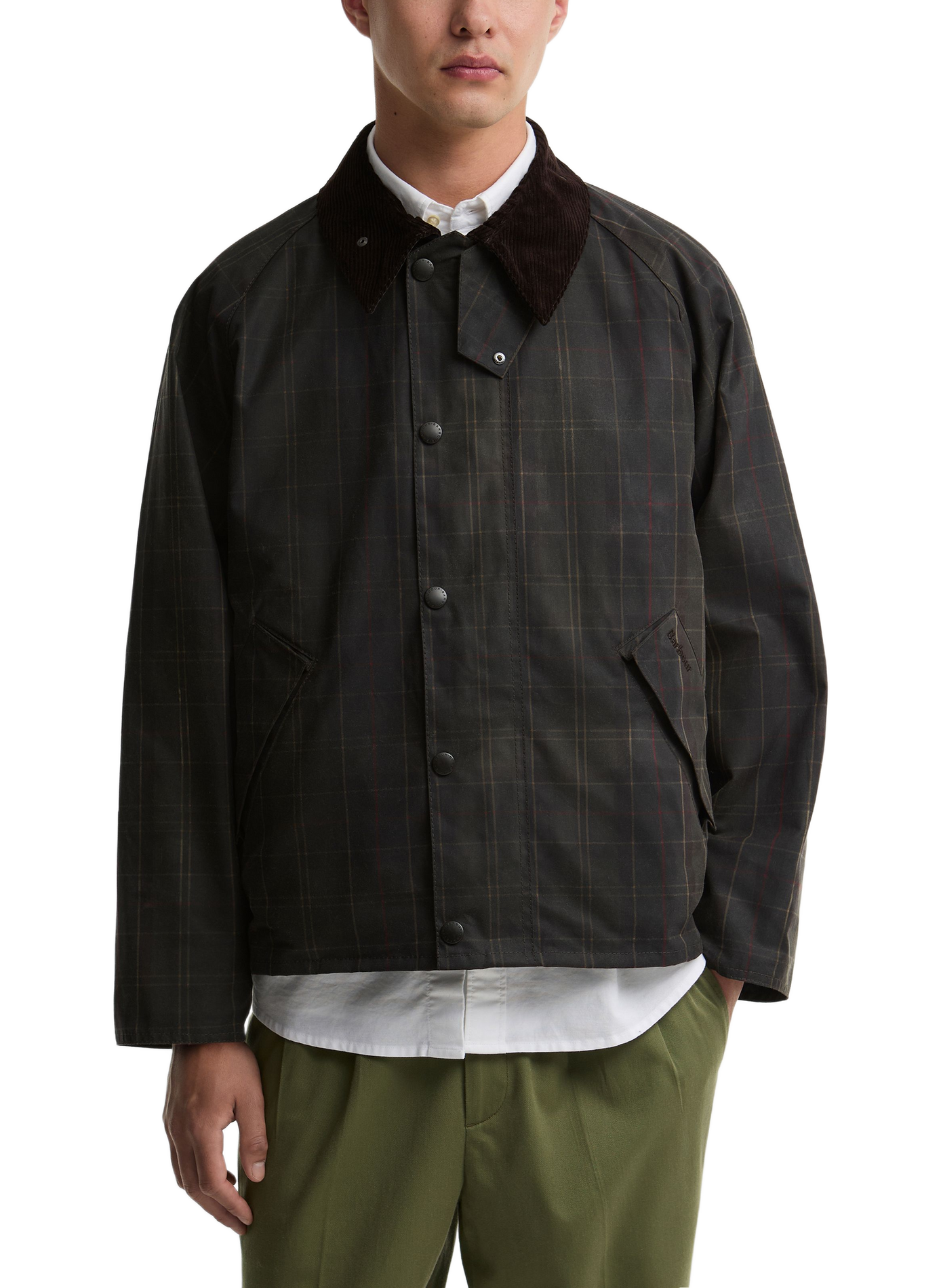 Straight jacket with contrasting collar in cotton BARBOUR Green
