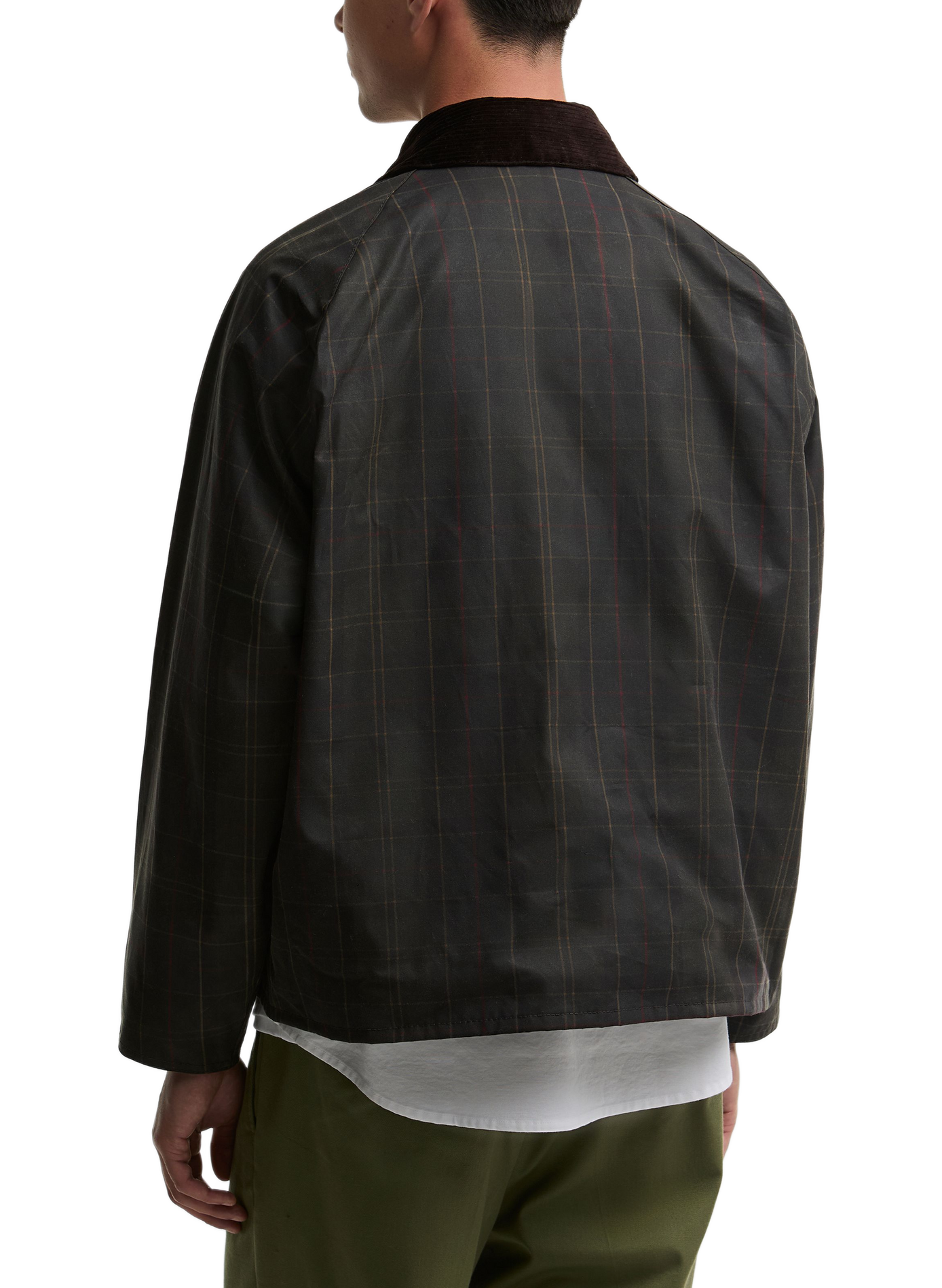 Straight jacket with contrasting collar in cotton BARBOUR Green