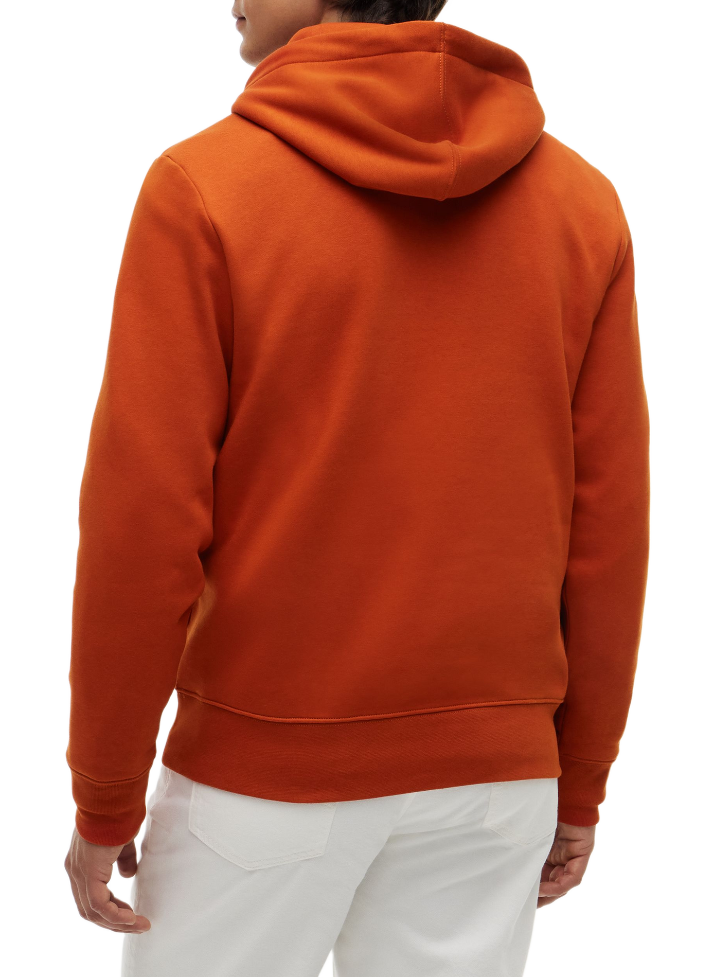 Sweat à capuche brodé TOMMY HILFIGER Marron