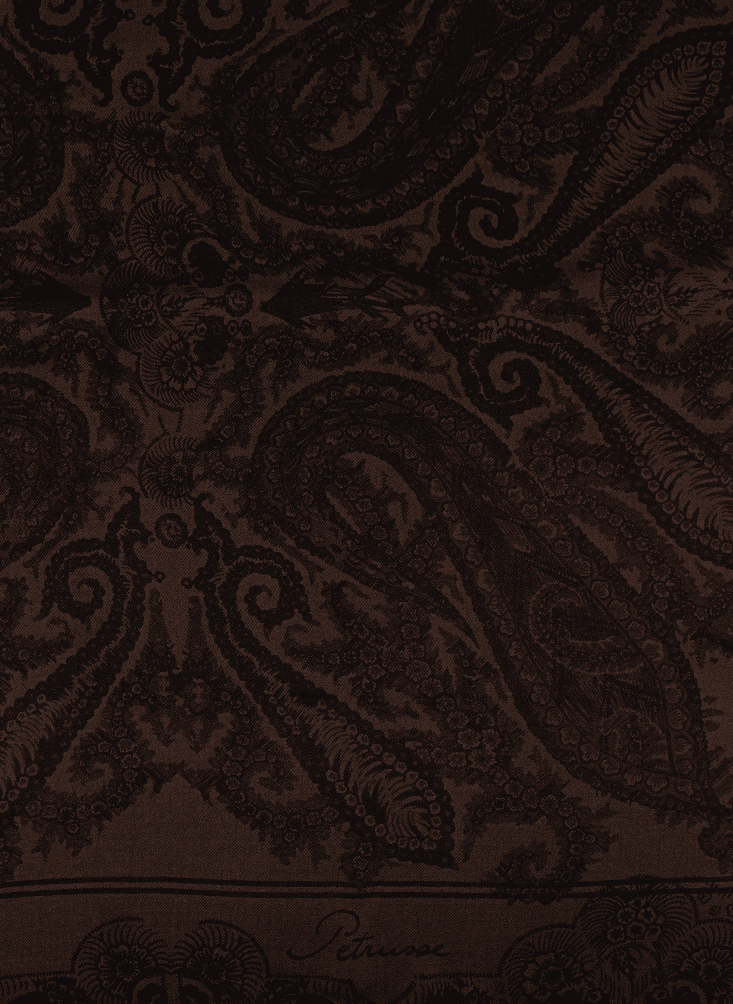 erreur ref PETRUSSE Marron