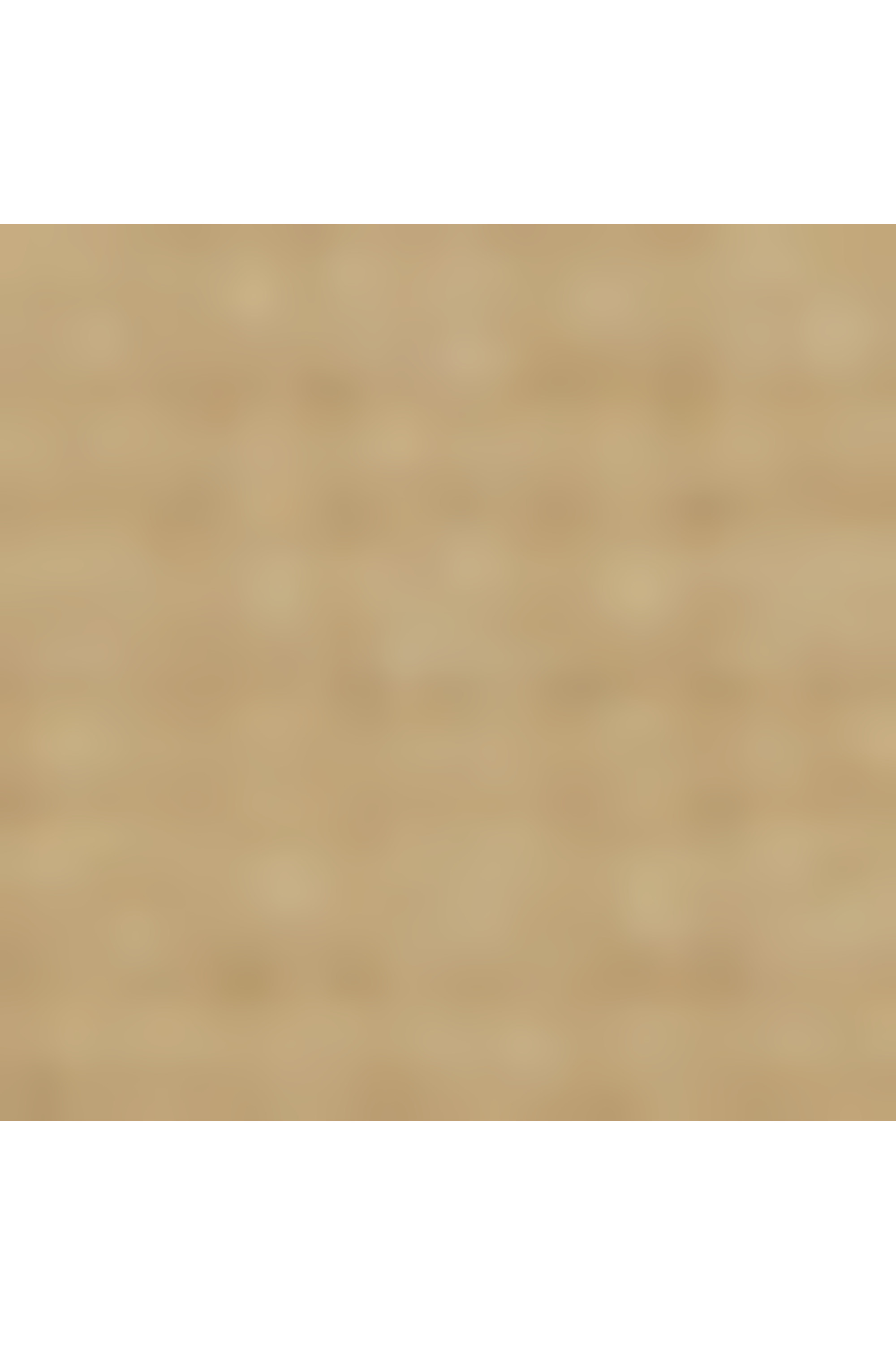 Alpha bravo trousse de toilette taille s TUMI Kaki