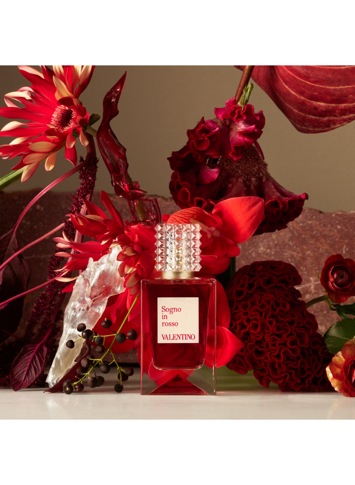 Valentino Anatomy Of Dreams - Traum-Anatomie - Eau de Parfum VALENTINO No color