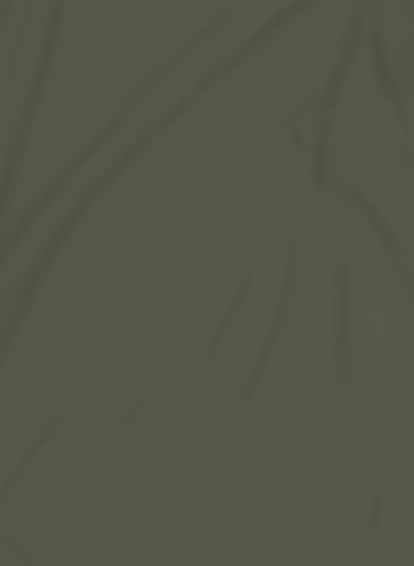 Drap housse en satin lavé de coton AU PRINTEMPS PARIS Vert