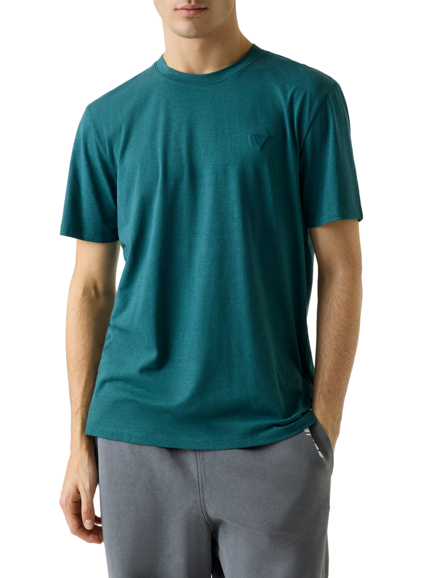 Hedley cotton T-shirt GUESS Green