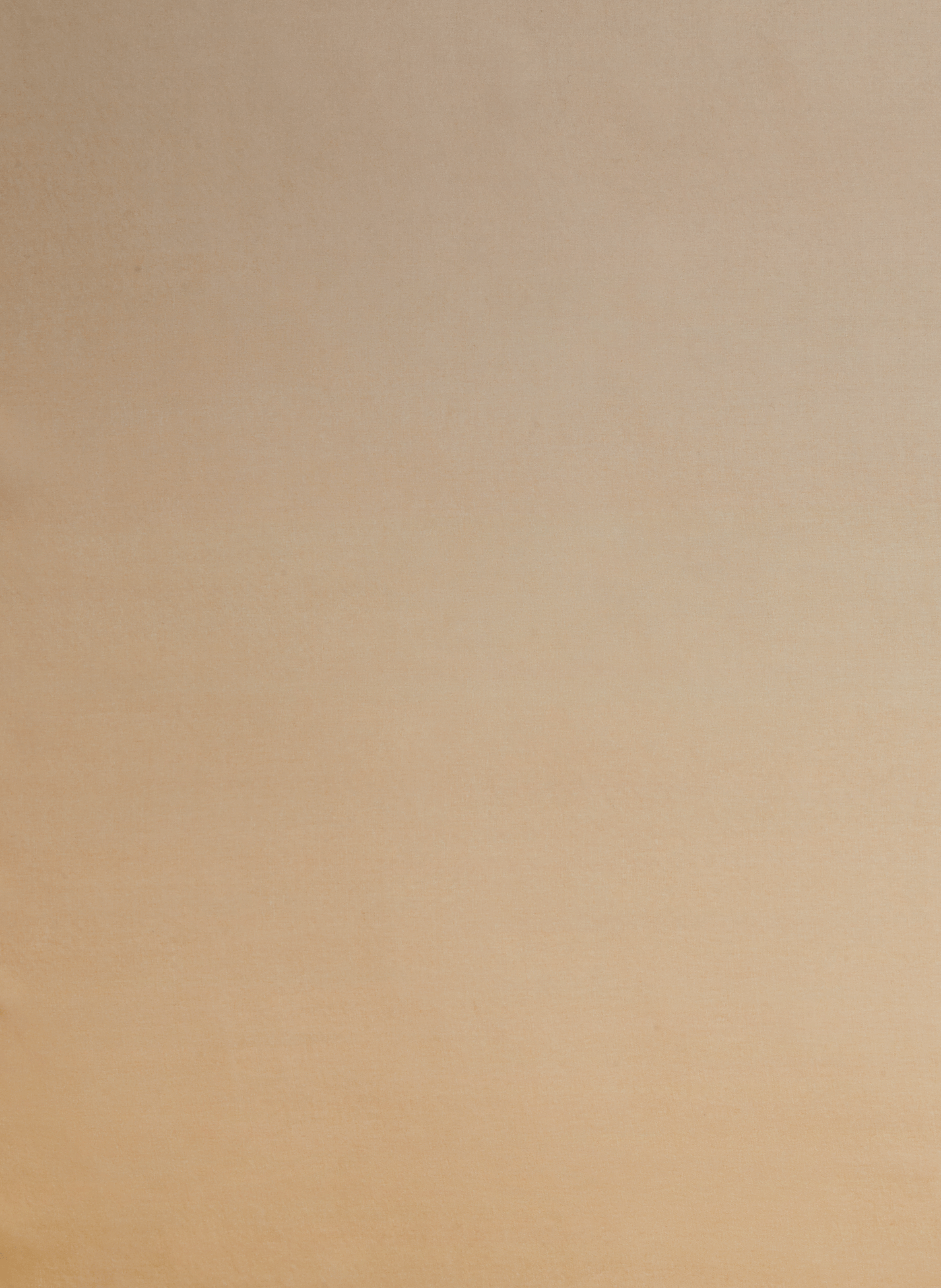 Foulard en soie SAISON 1865 Beige