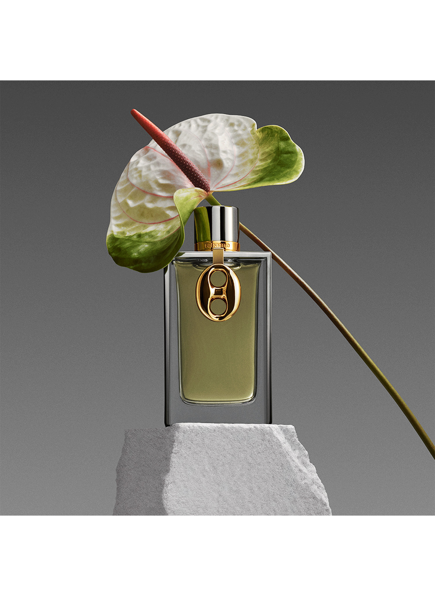 Die Rabanne-Kollektion - Mesh Meta RABANNE No color