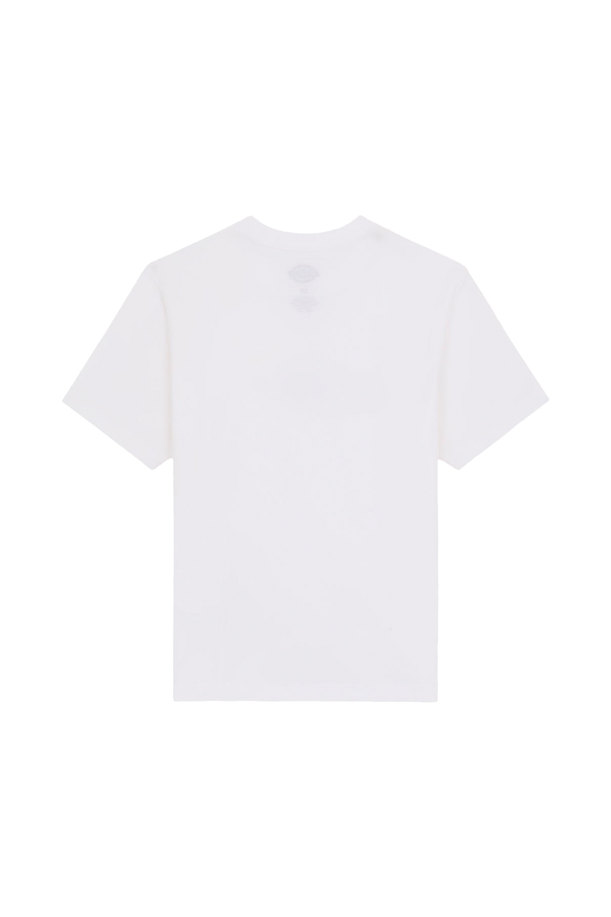 T-shirt maple valley reg tee w DICKIES Blanc