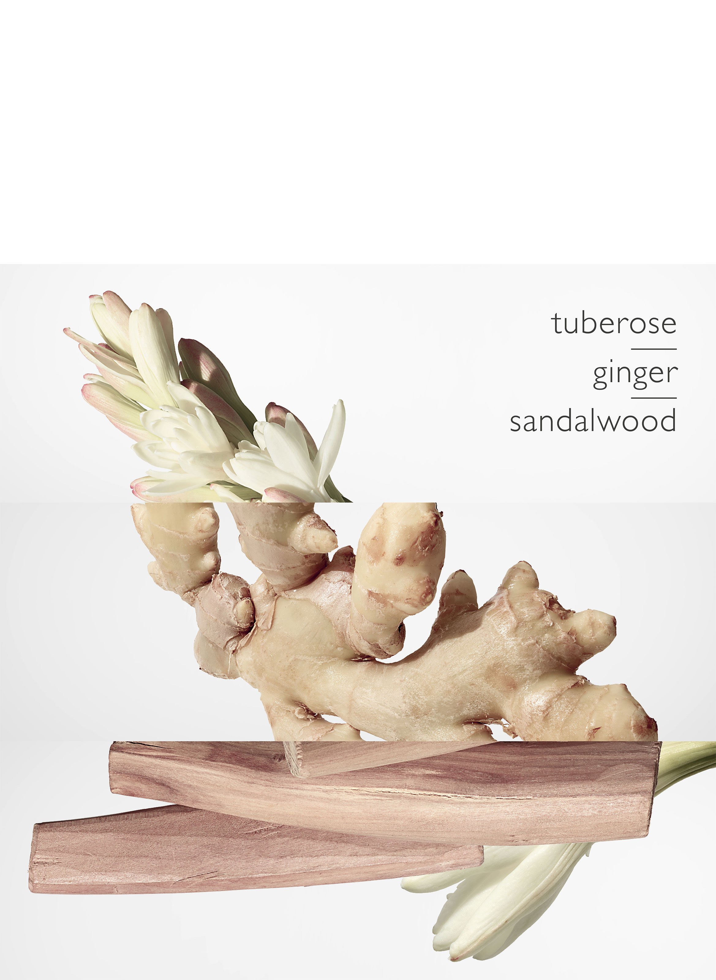 Twilly d&#039;Hermès Eau de Parfum Spray HERMÈS No color