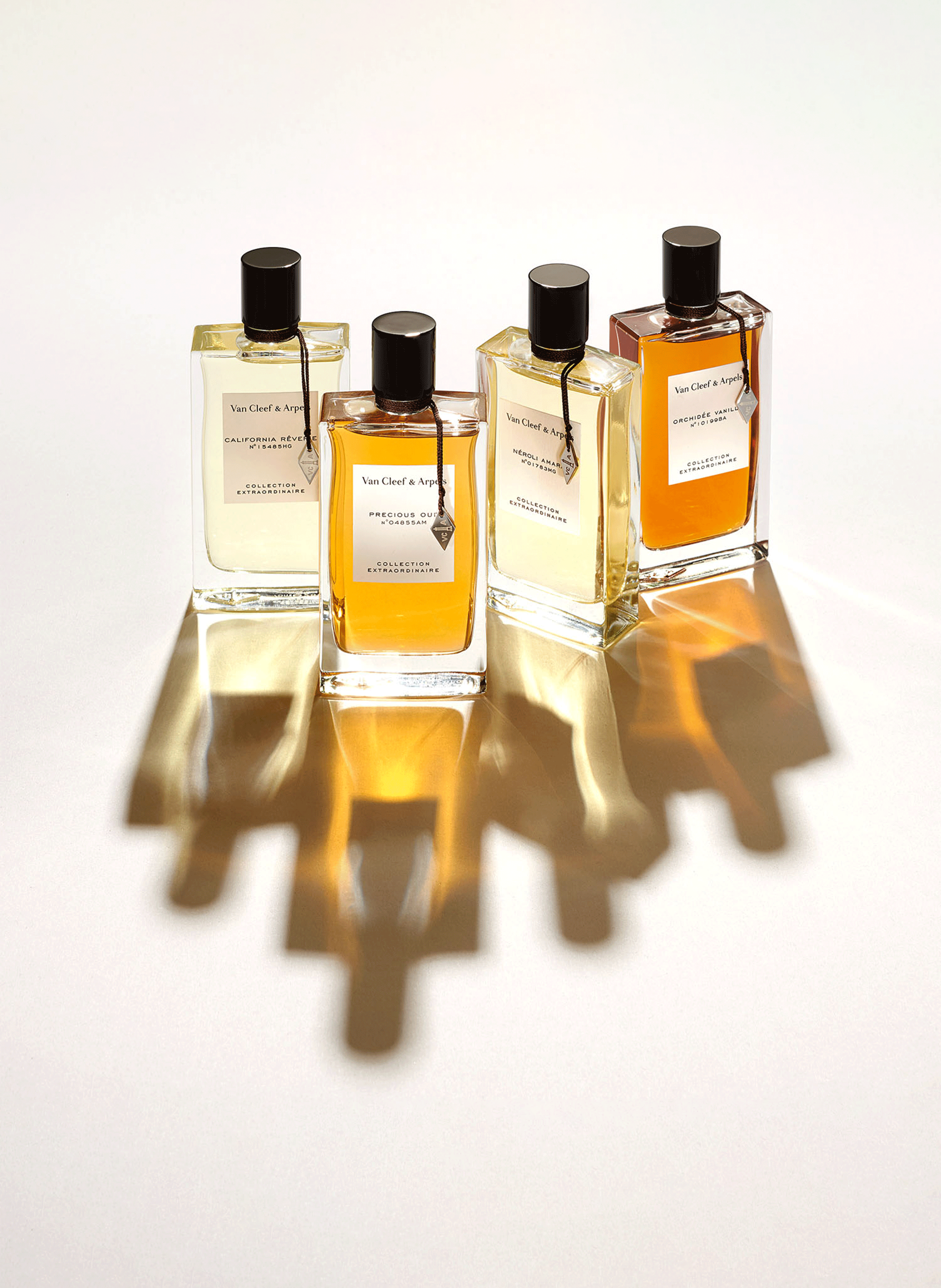 Precious Oud eau de parfum VAN CLEEF & ARPELS No color