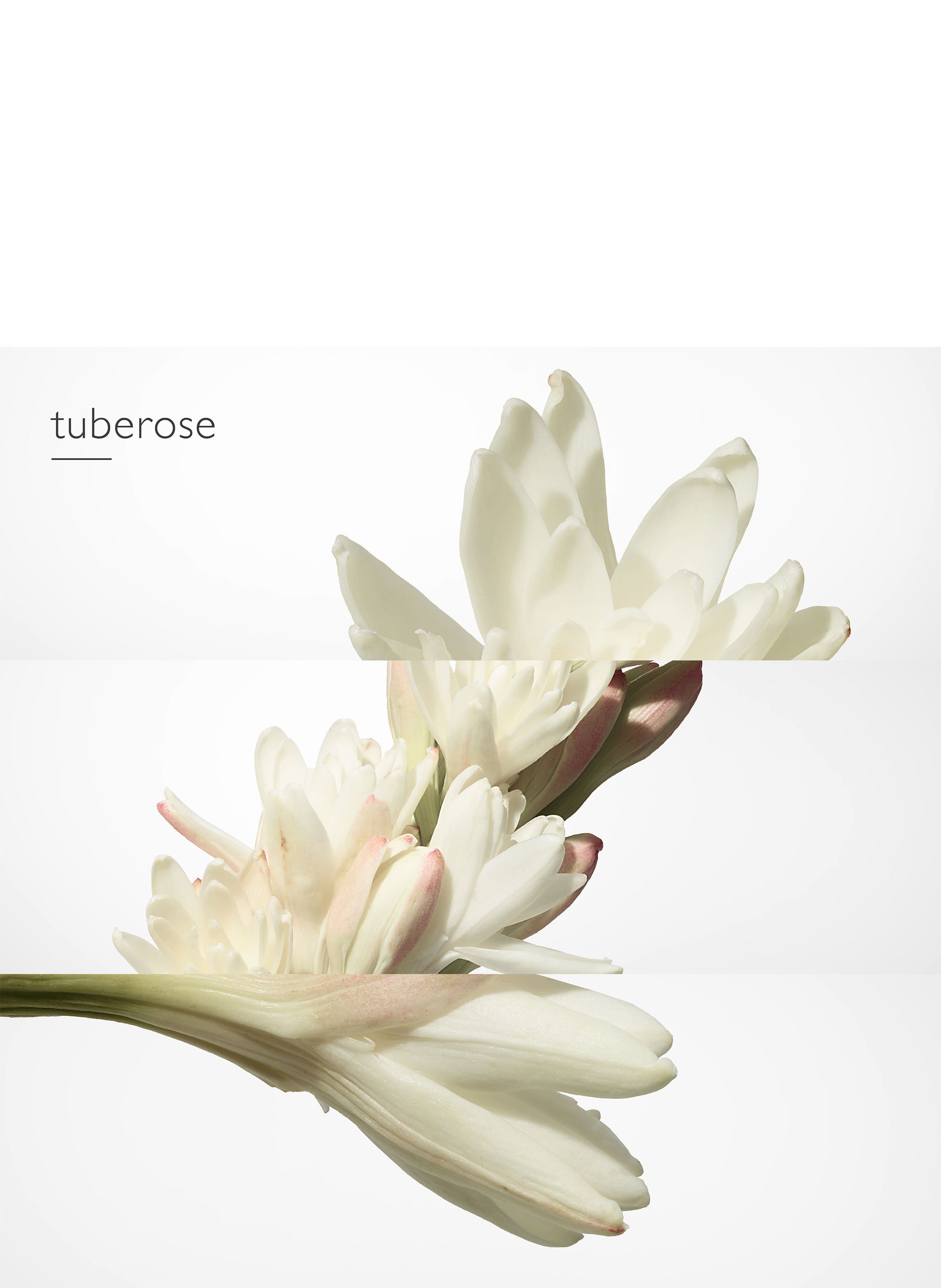 Twilly d&#039;Hermès Eau de Parfum Spray HERMÈS No color