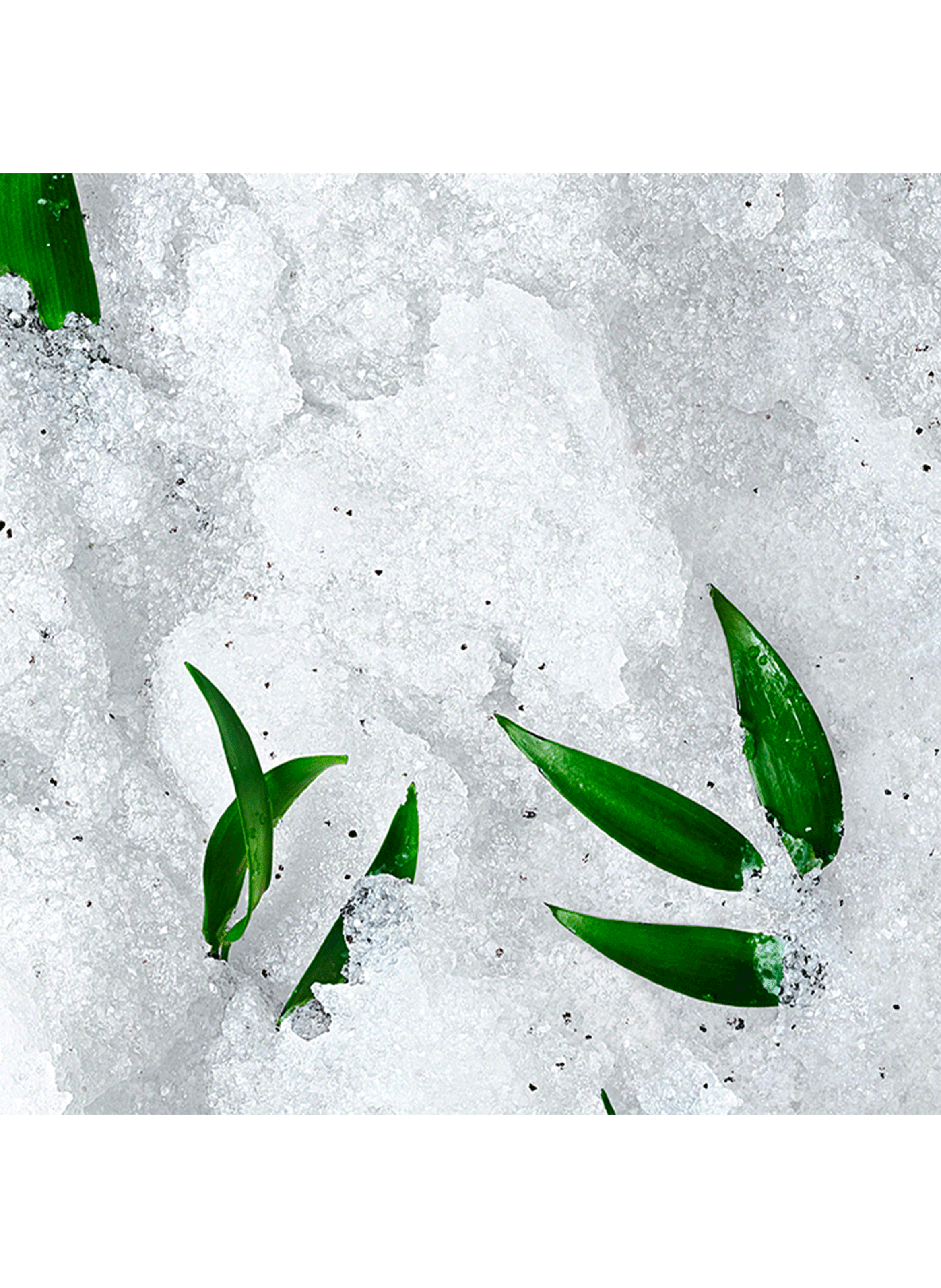 Gommage Granité Ressourçant, NUXE Body Rêve de Thé NUXE No color