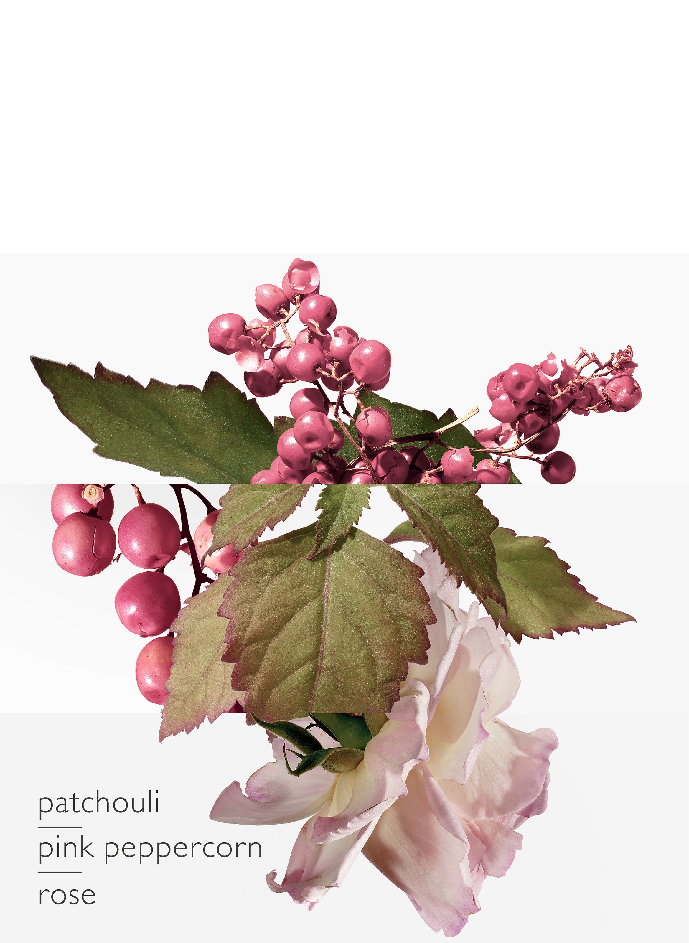 Twilly d&#039;Hermès Eau Poivrée Eau de Parfum Spray HERMÈS No color