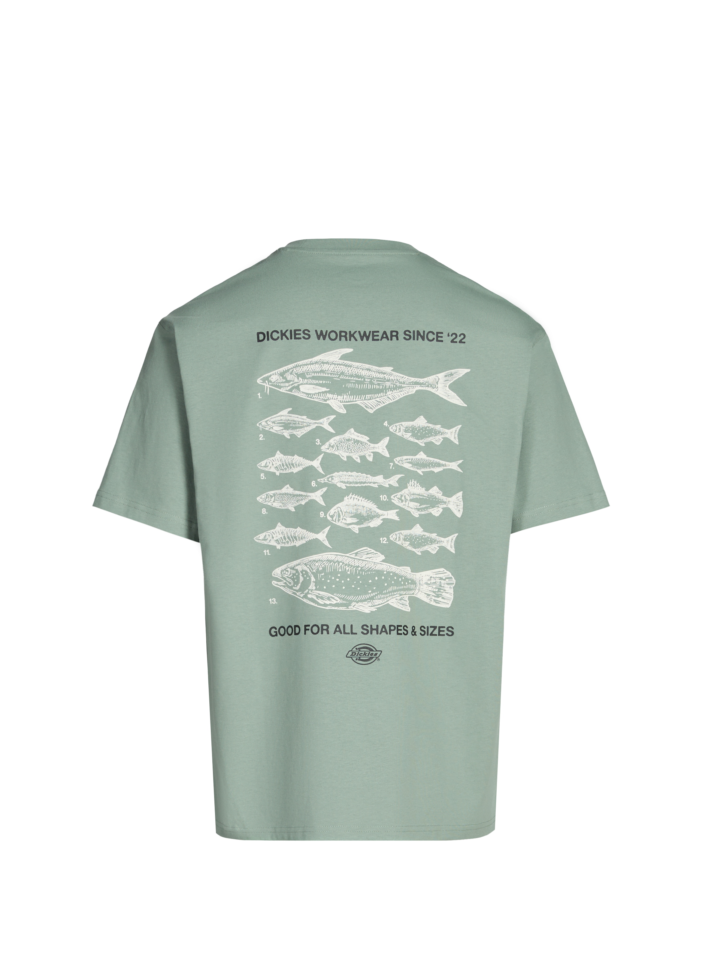 Printed cotton T-shirt DICKIES Green