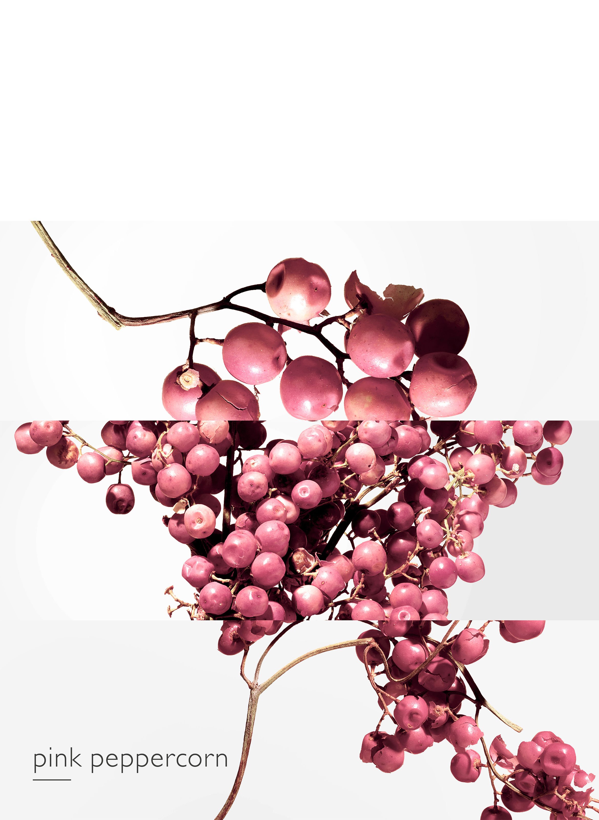 Twilly d&#039;Hermès Eau Poivrée Eau de Parfum Spray HERMÈS No color