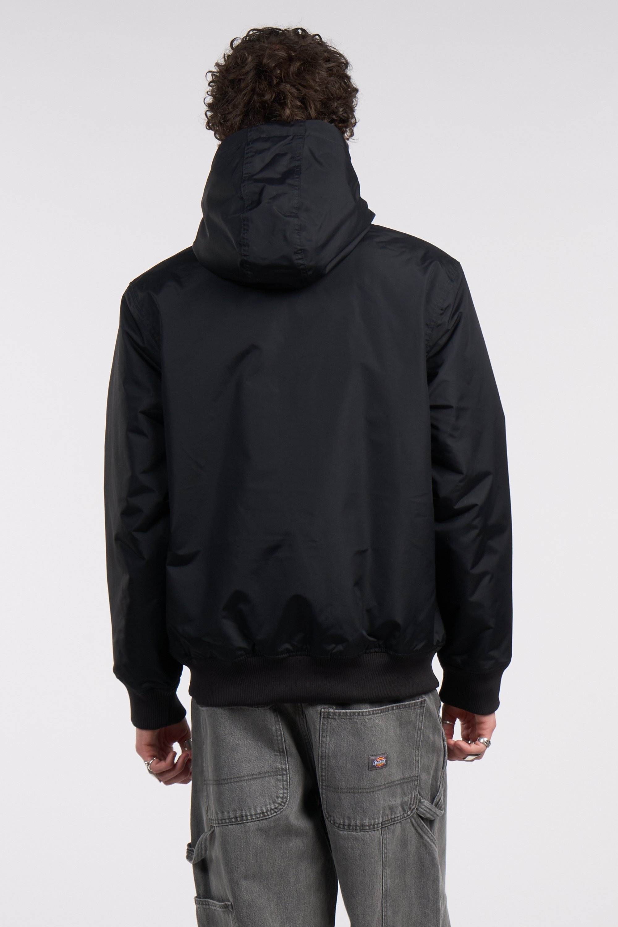 Parka new sarpy jacket DICKIES Noir