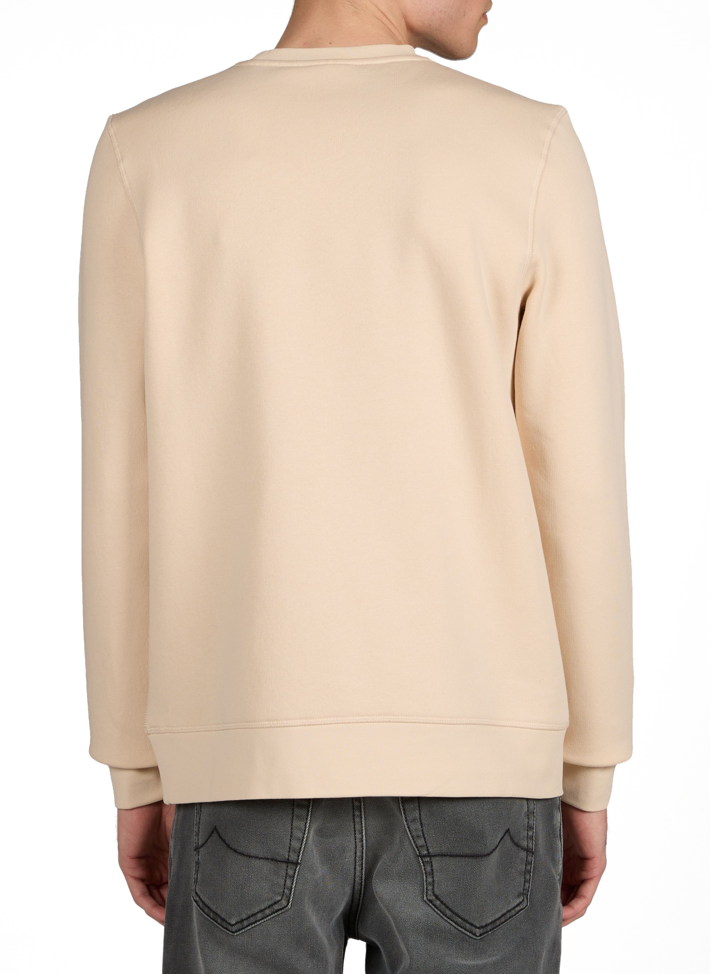 Straight Donzy sweatshirt in blended cotton FAGUO Beige