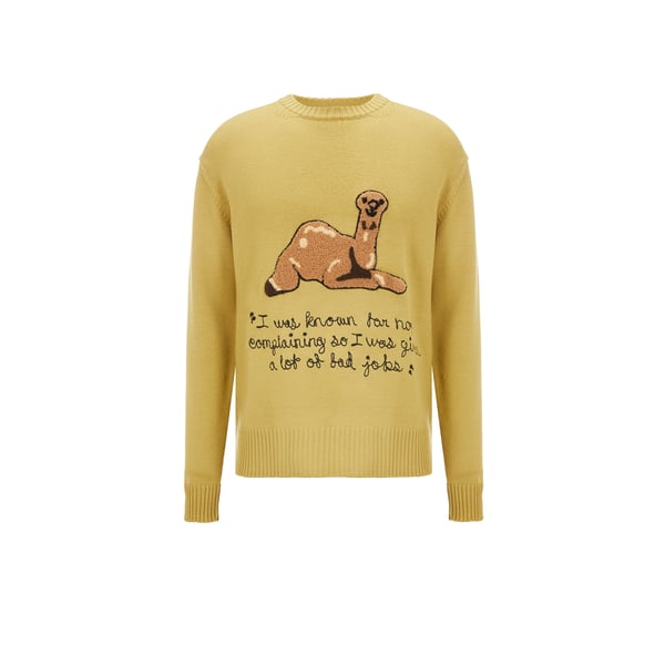 Pull en laine mérinos