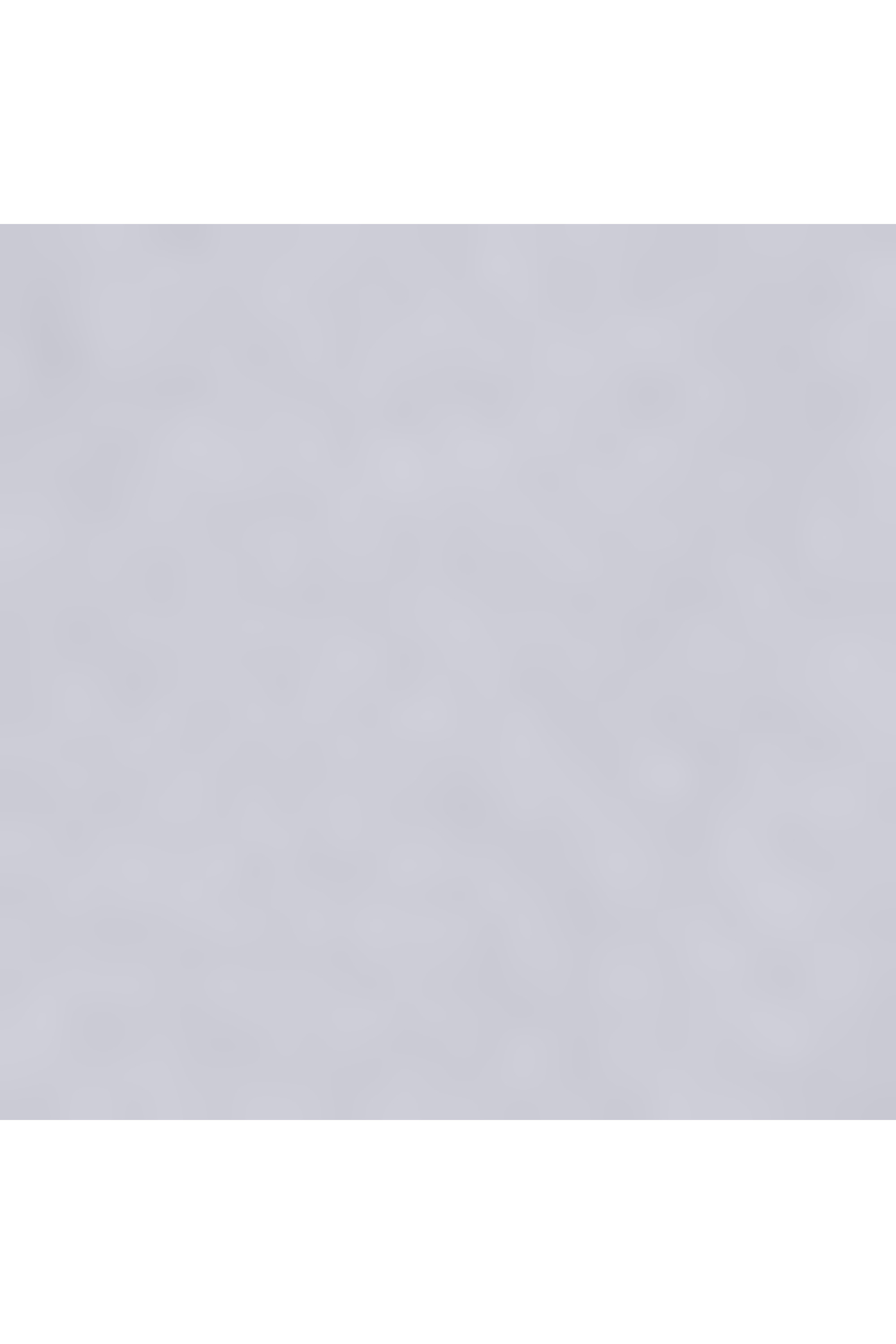 19 degree valise 4 roues taille s Gris