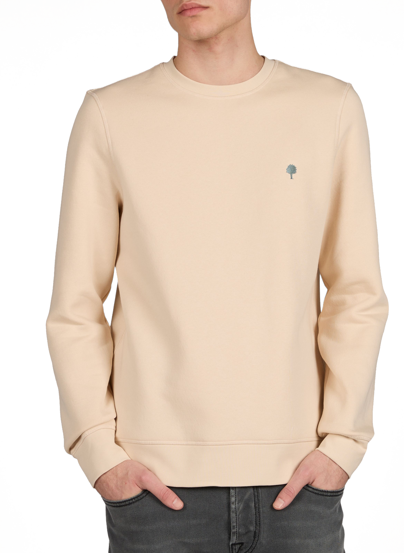 Straight Donzy sweatshirt in blended cotton FAGUO Beige