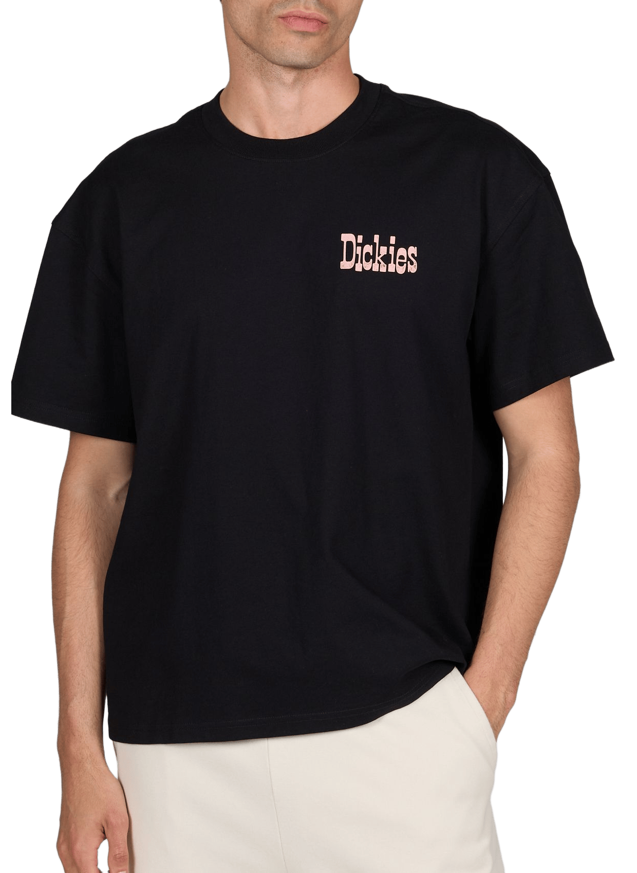 T-shirt imprimé en coton DICKIES Noir