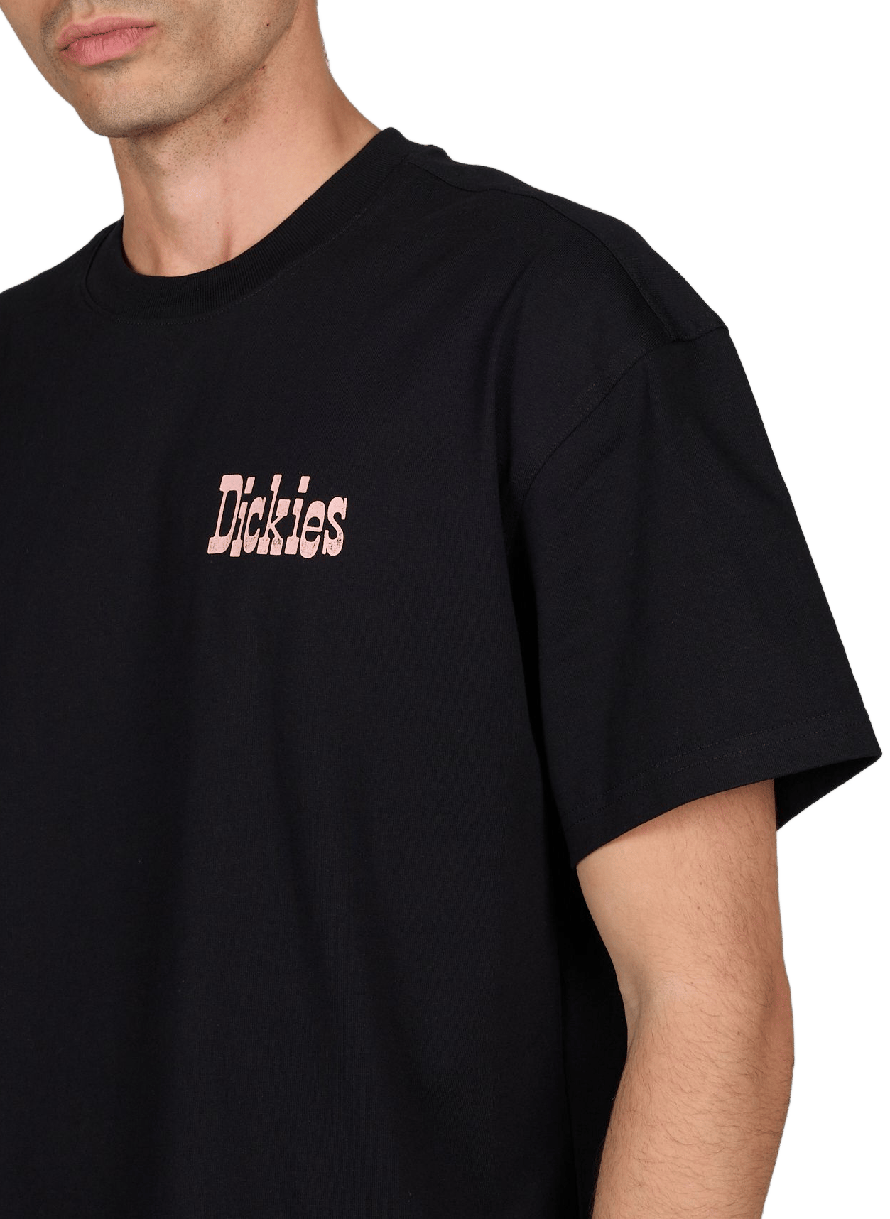 T-shirt imprimé en coton DICKIES Noir