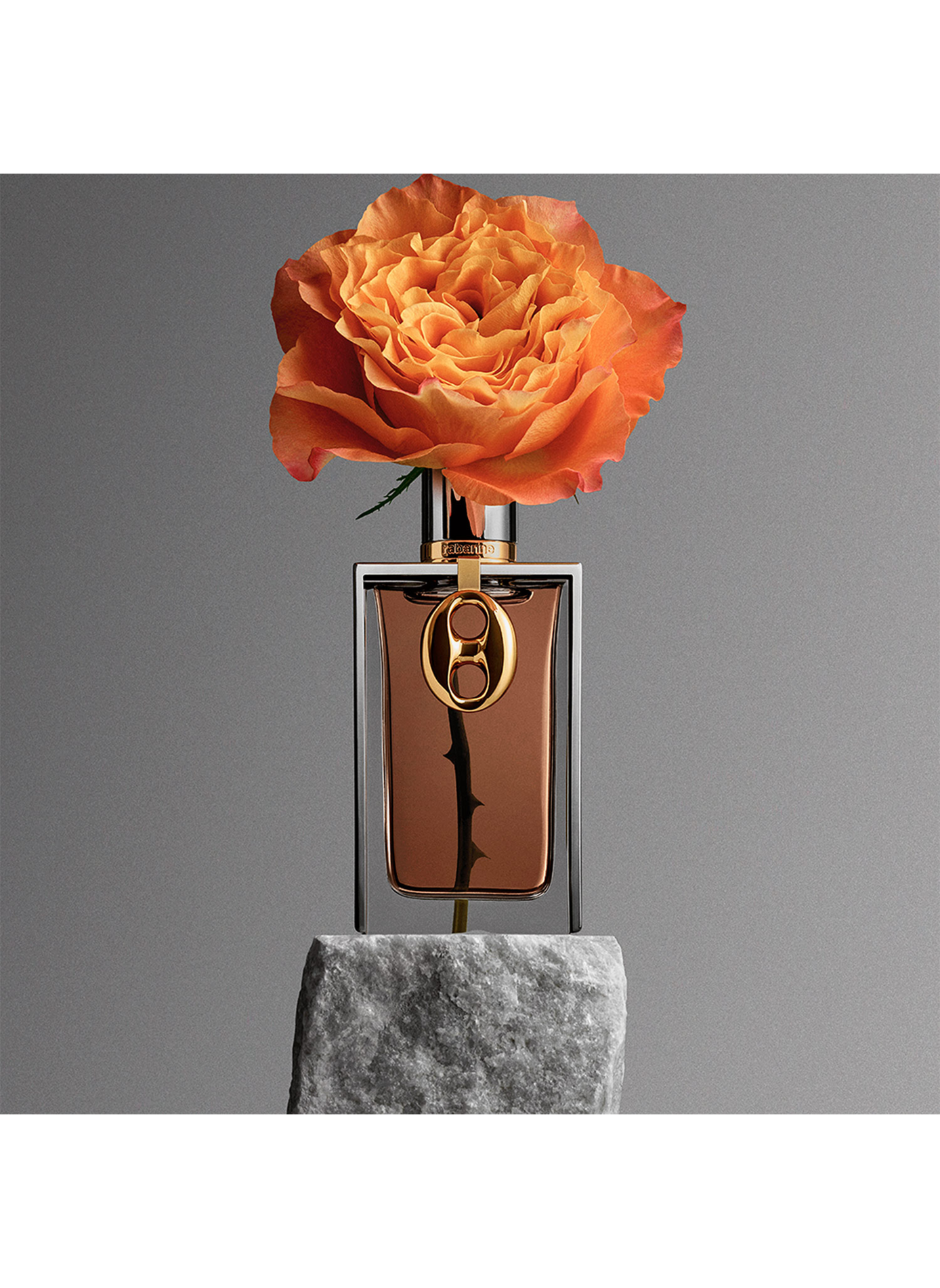 Die Rabanne-Kollektion - Rose 1969 RABANNE No color