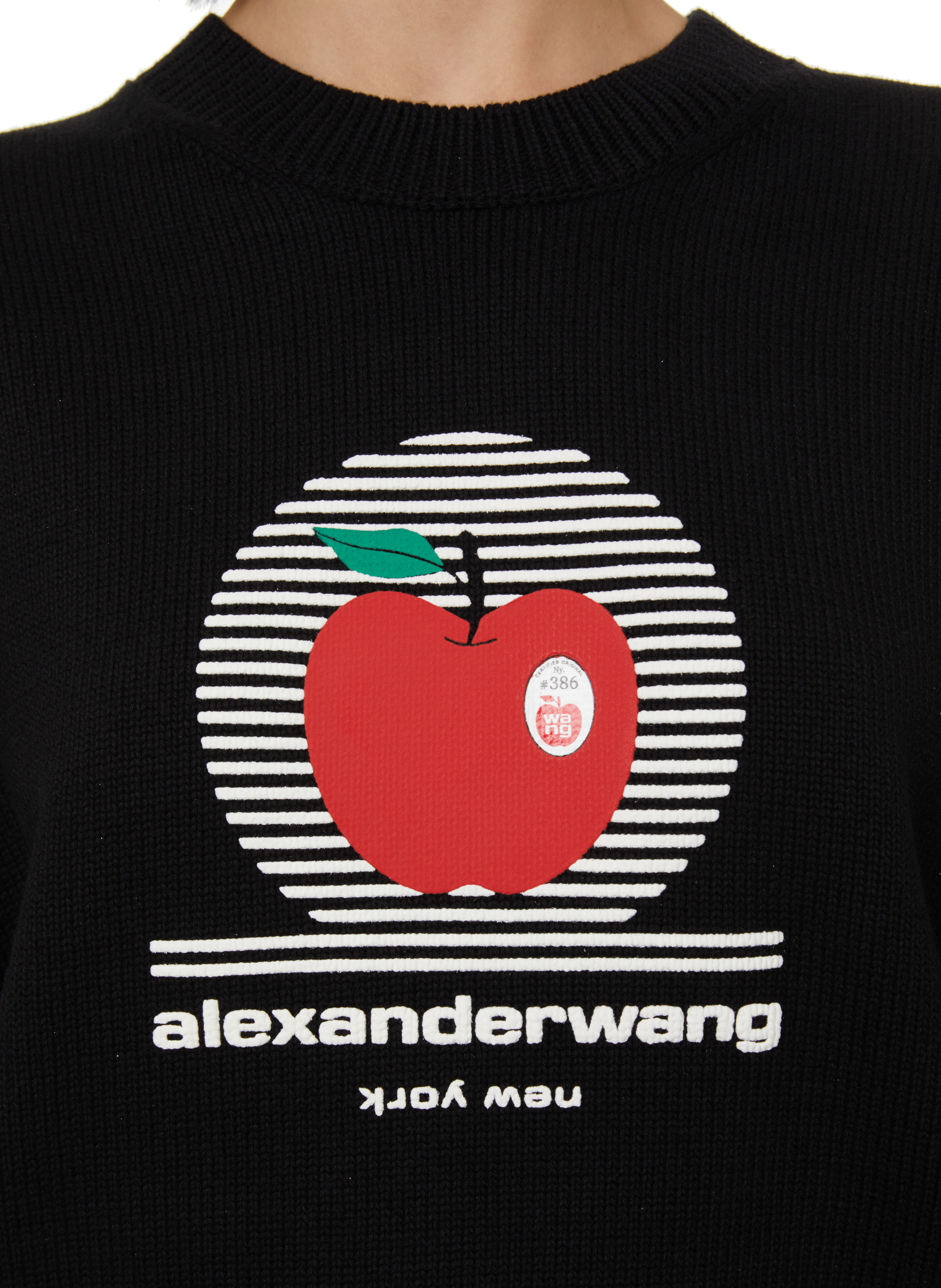 Pull à logo  ALEXANDER WANG Noir
