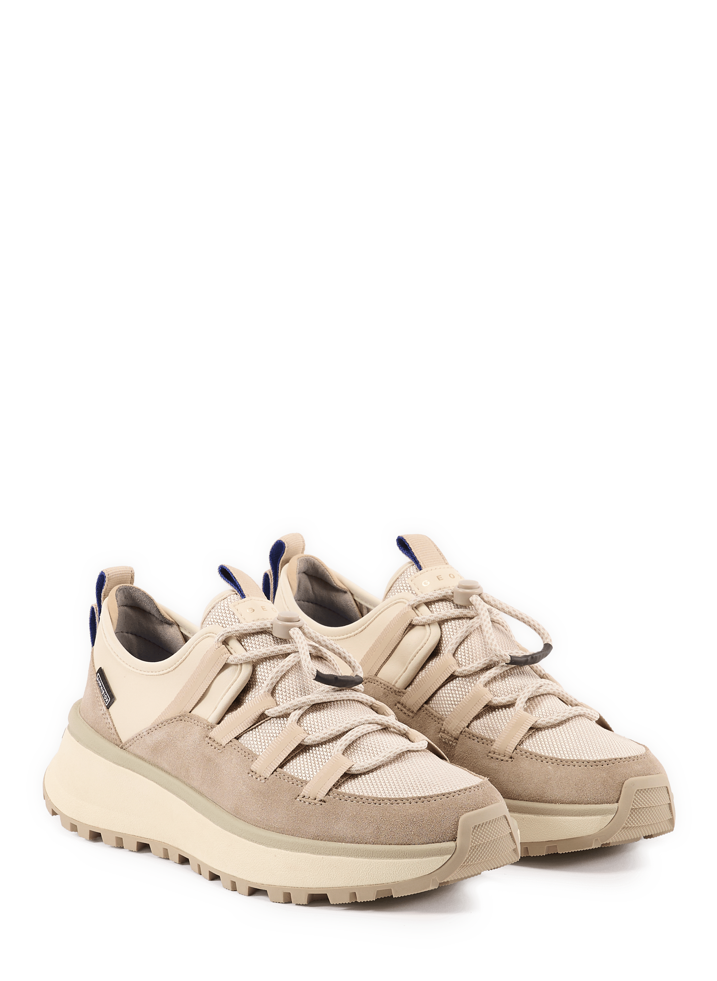 Baskets basses  GEOX Beige